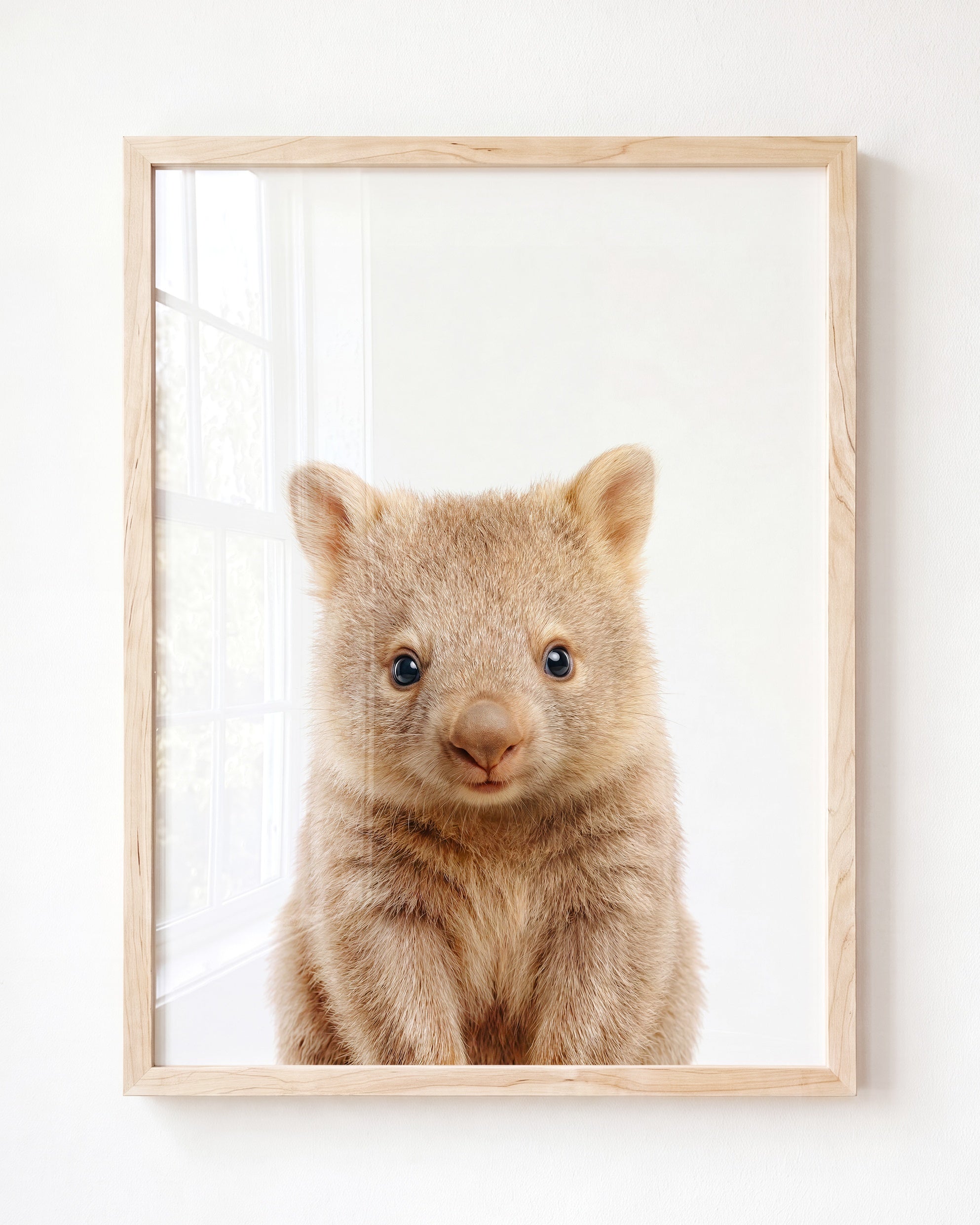 Baby Wombat