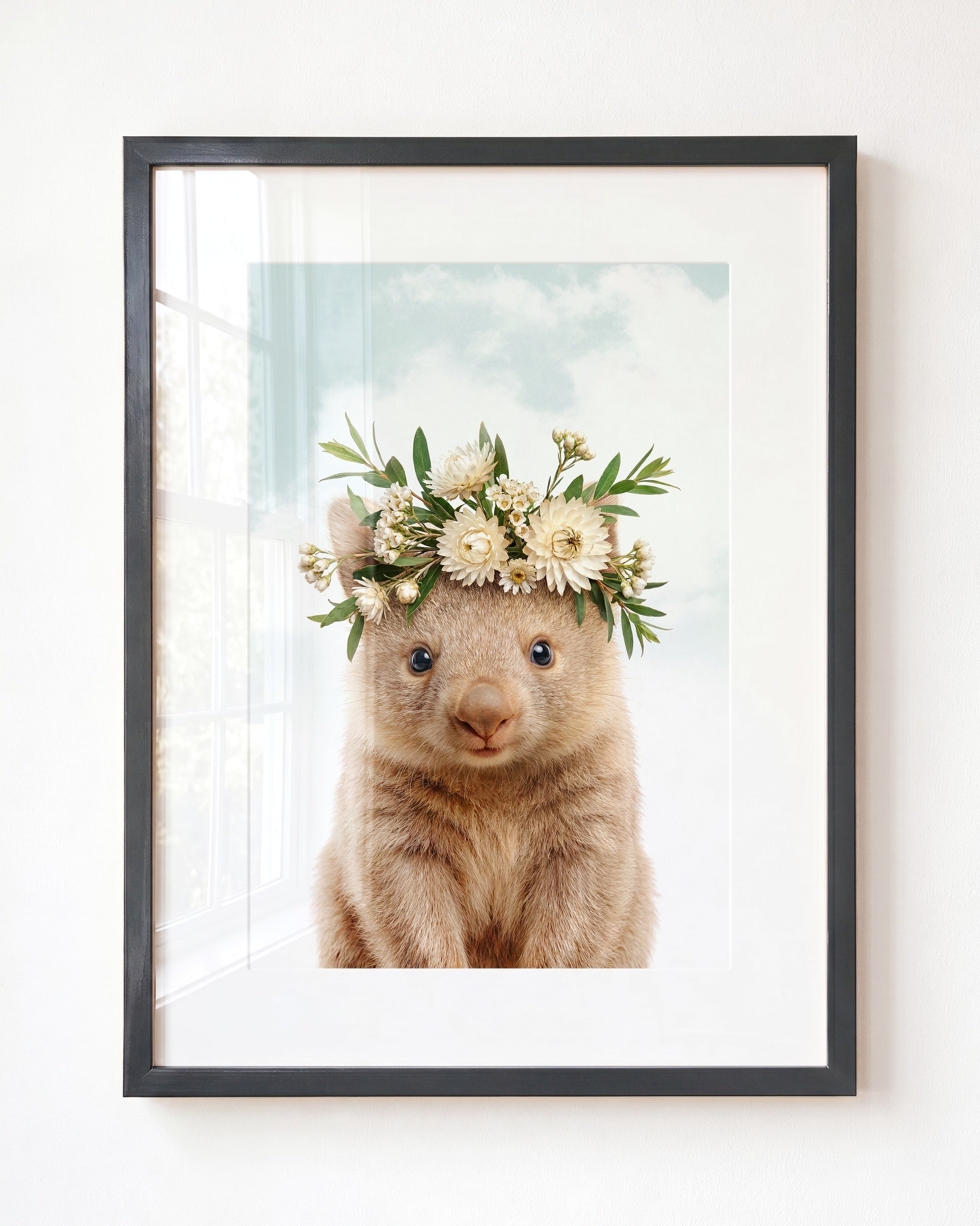 Baby Wombat