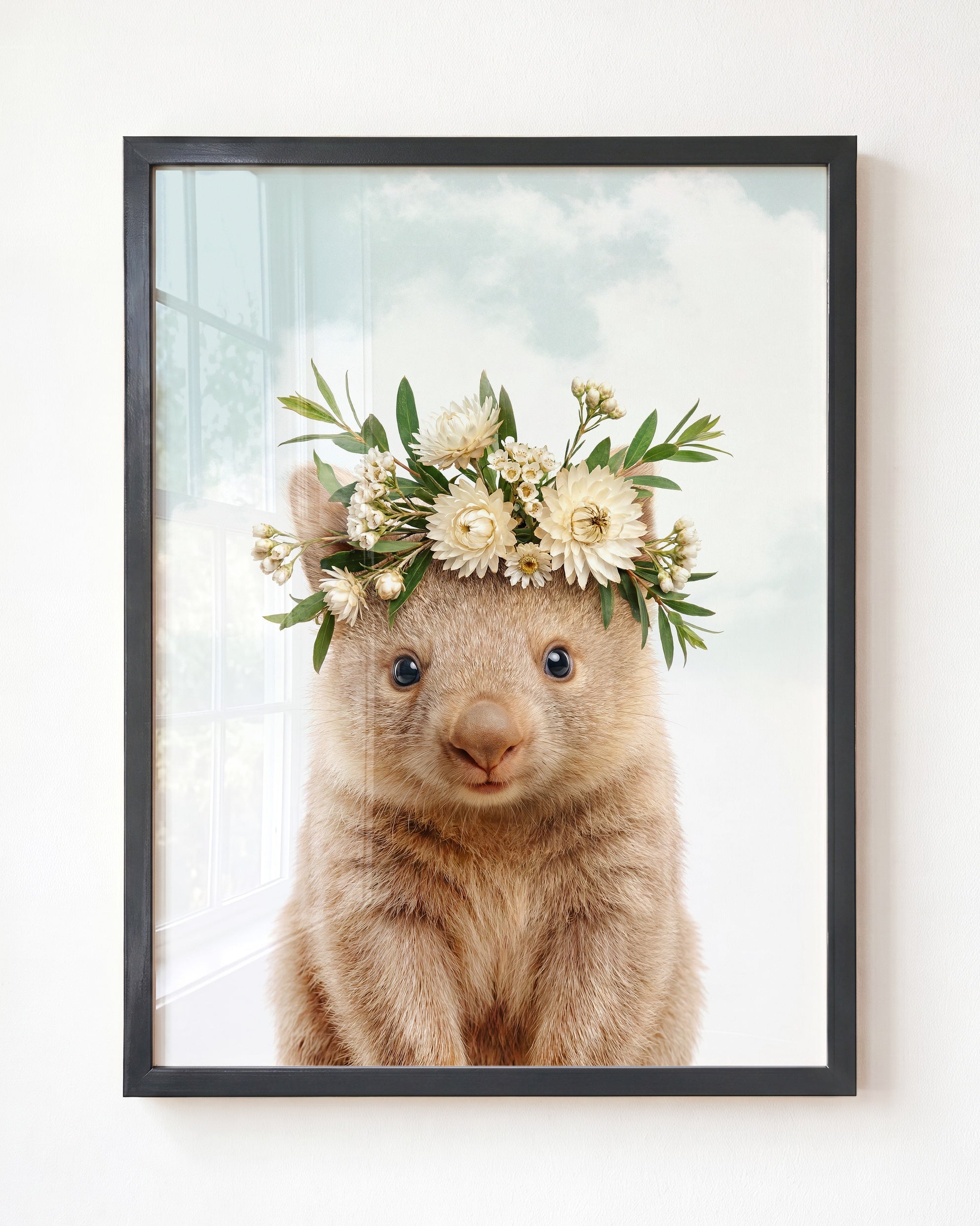 Baby Wombat