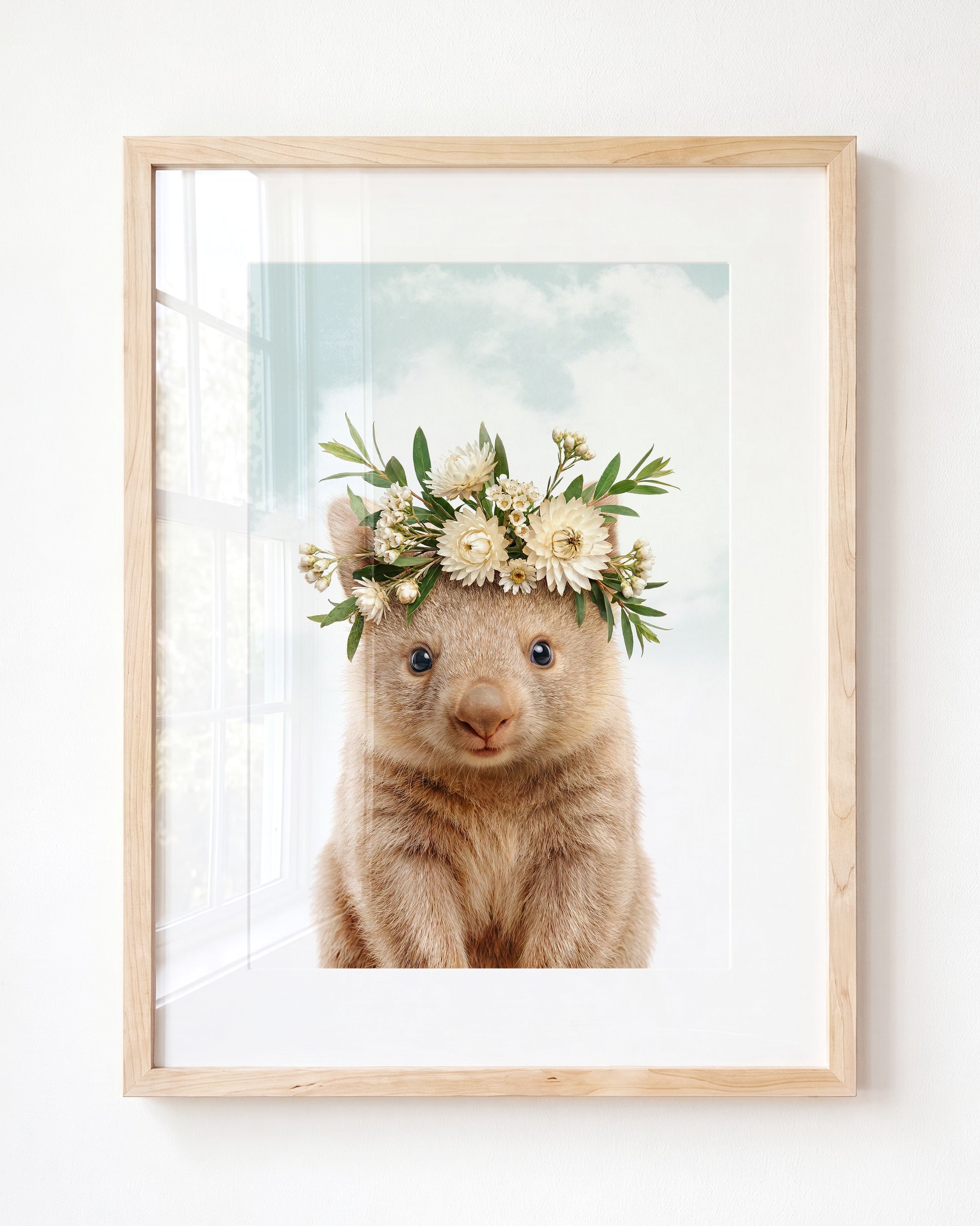 Baby Wombat