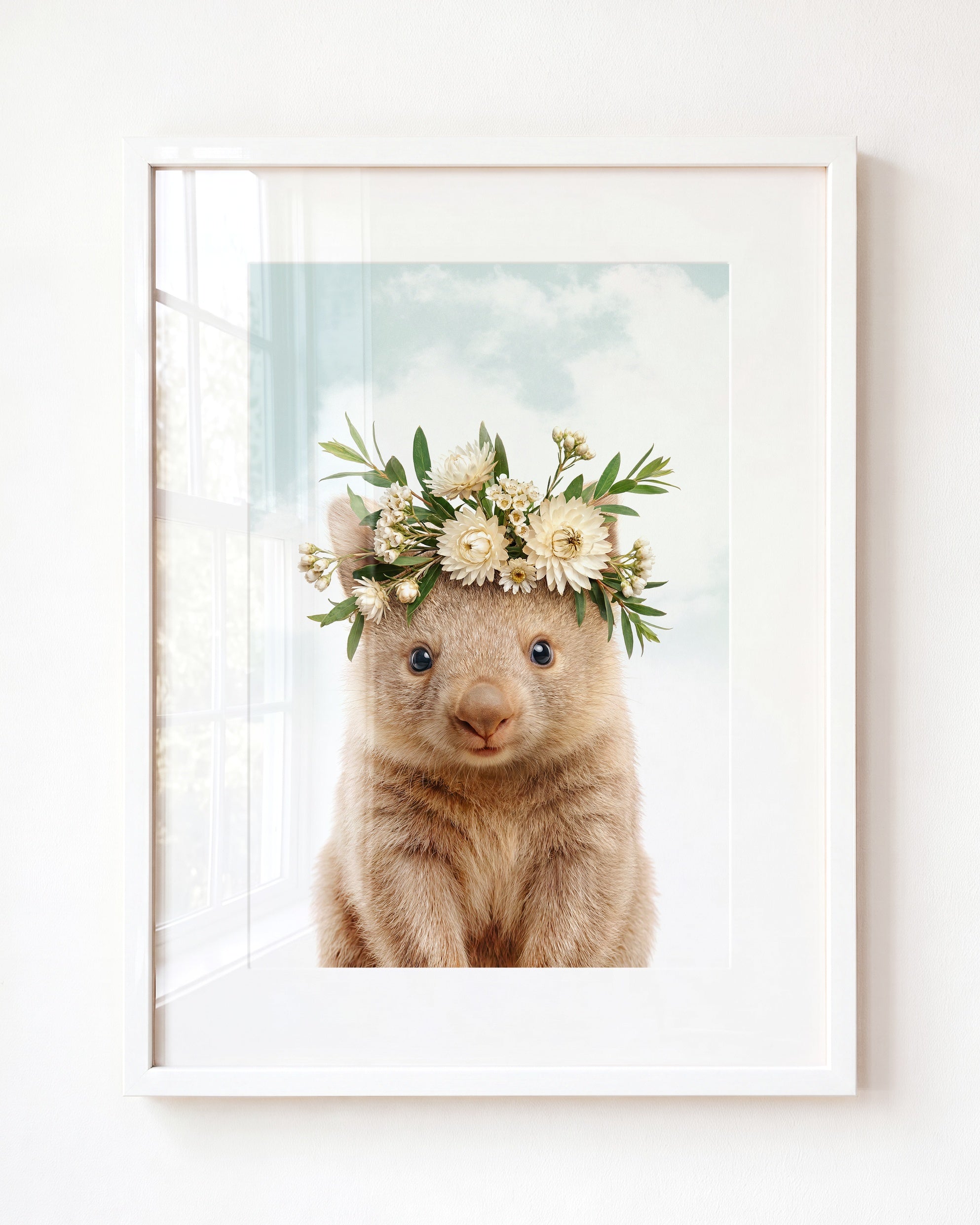 Baby Wombat