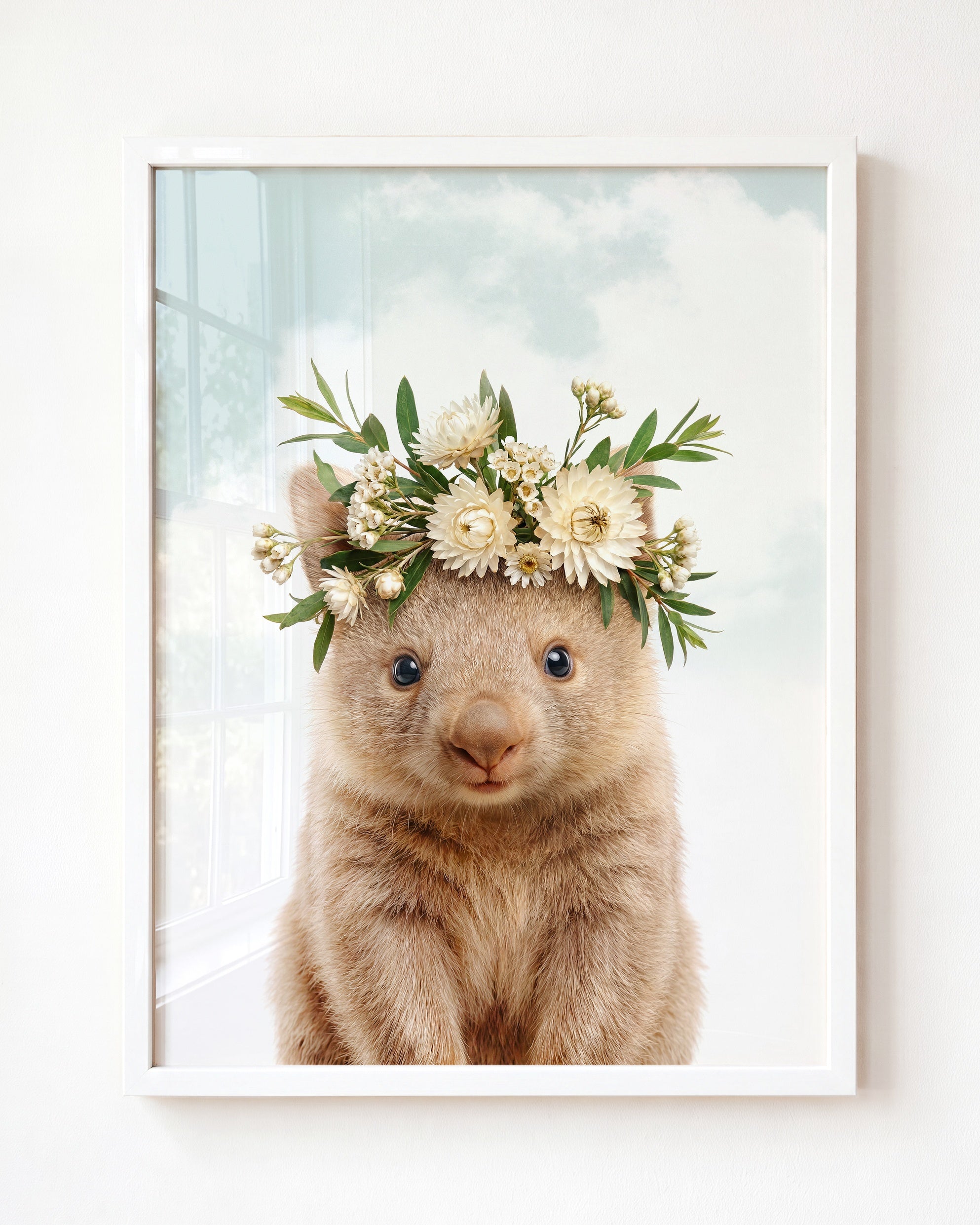 Baby Wombat
