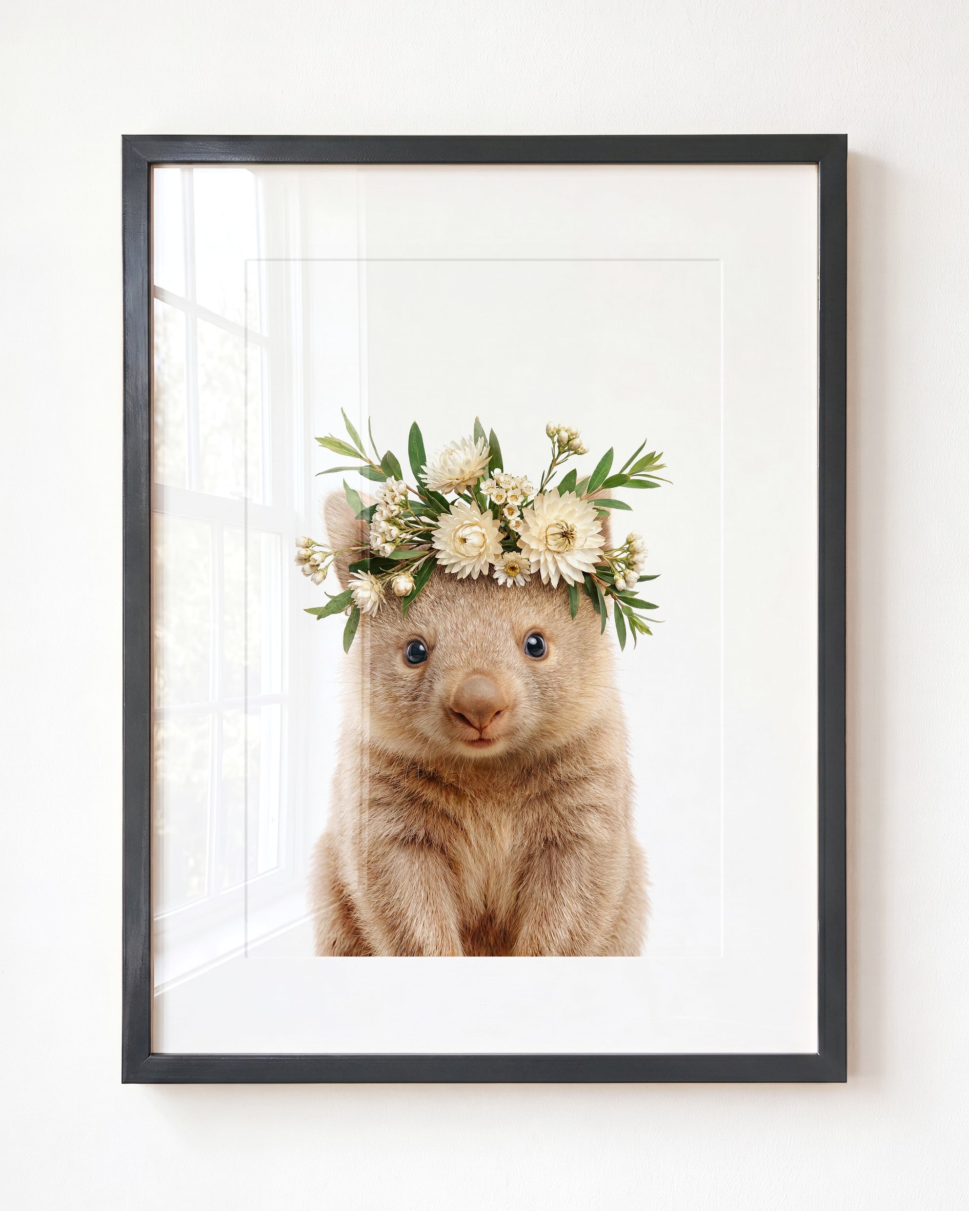 Baby Wombat