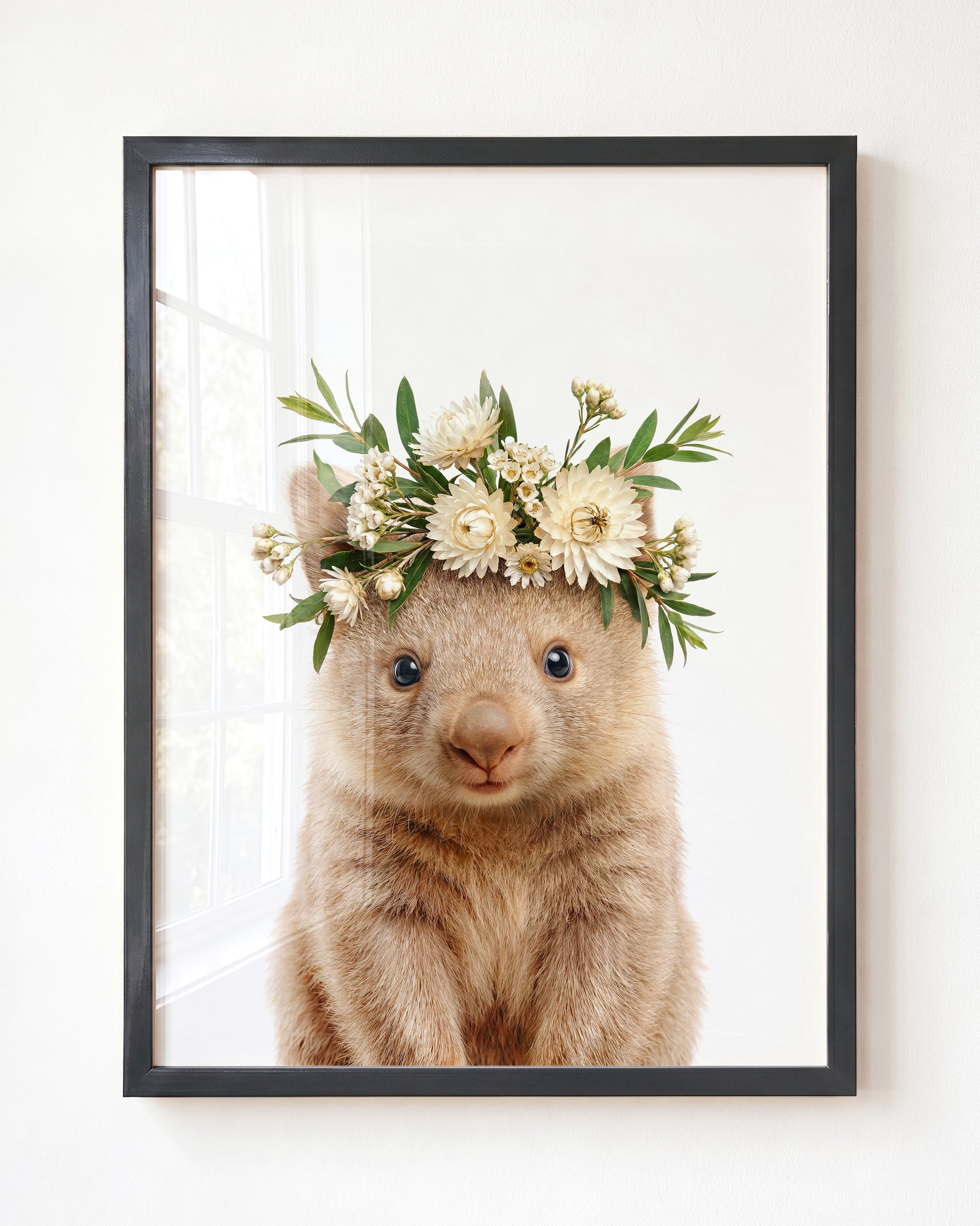 Baby Wombat