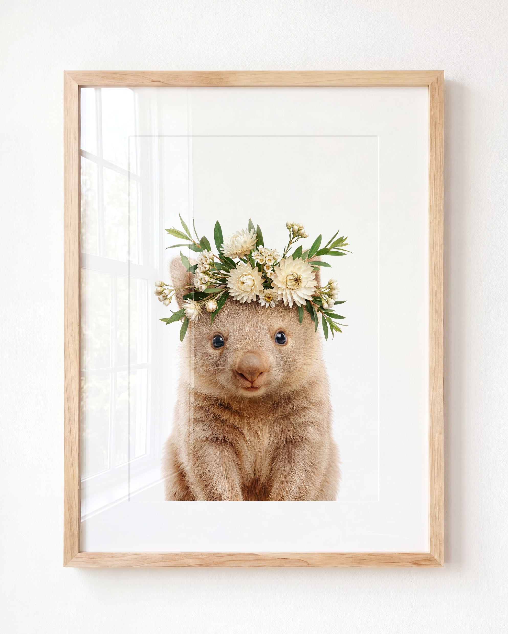 Baby Wombat