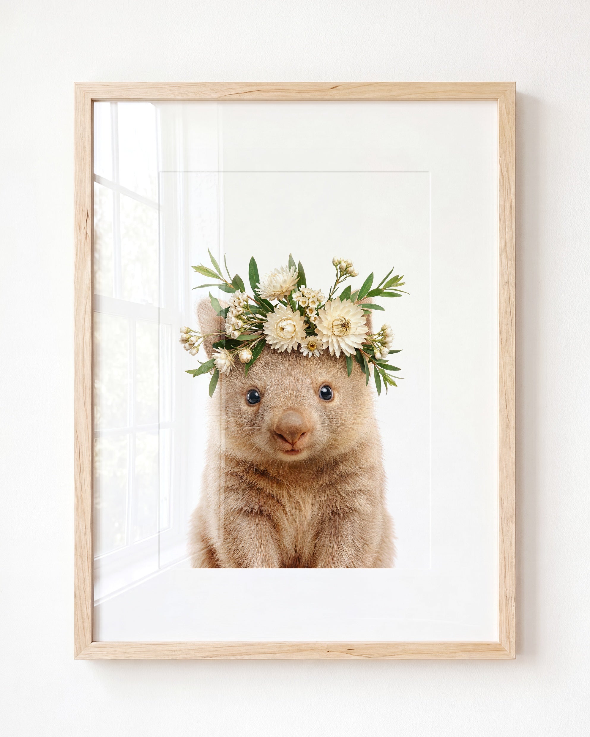 Baby Wombat