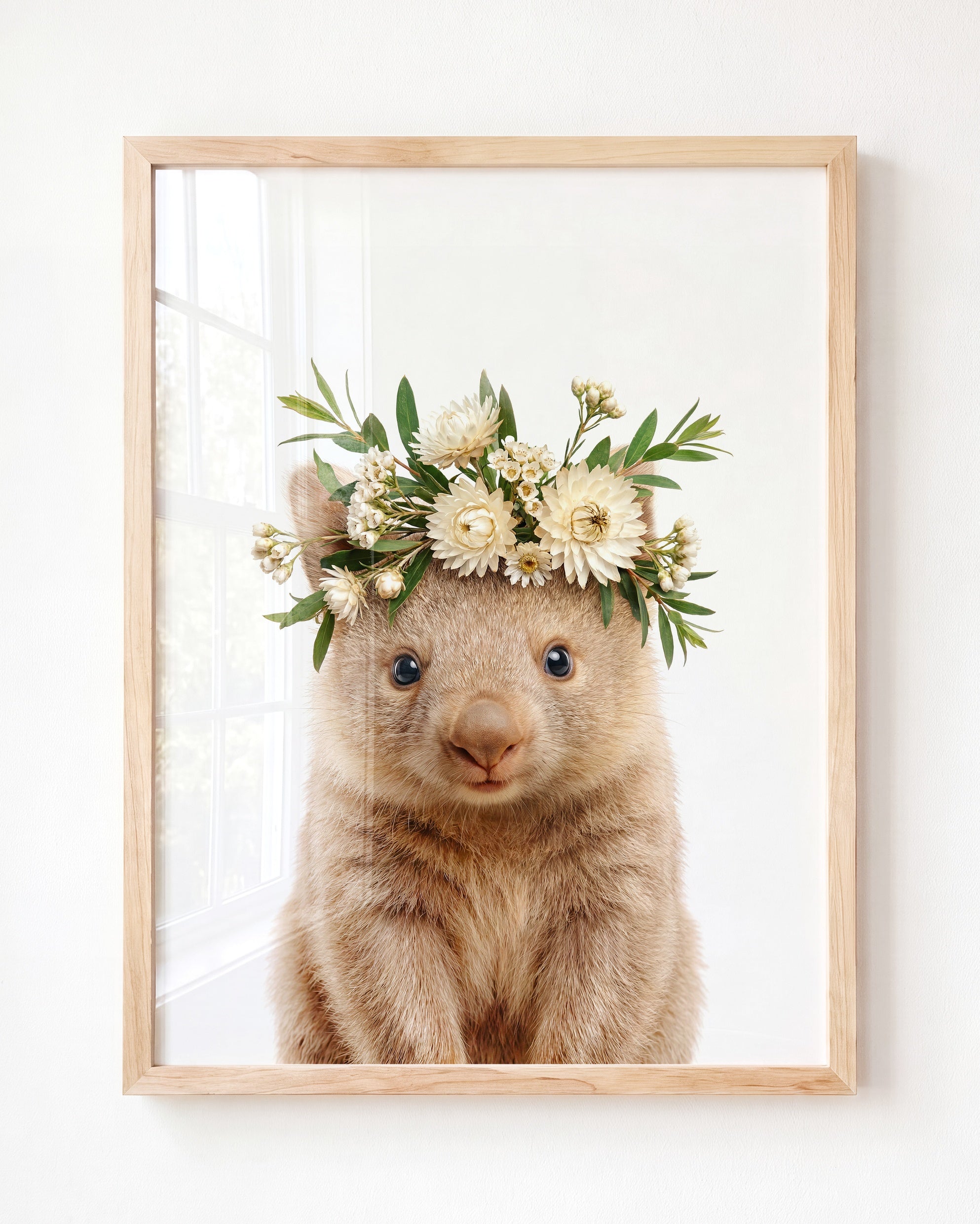 Baby Wombat