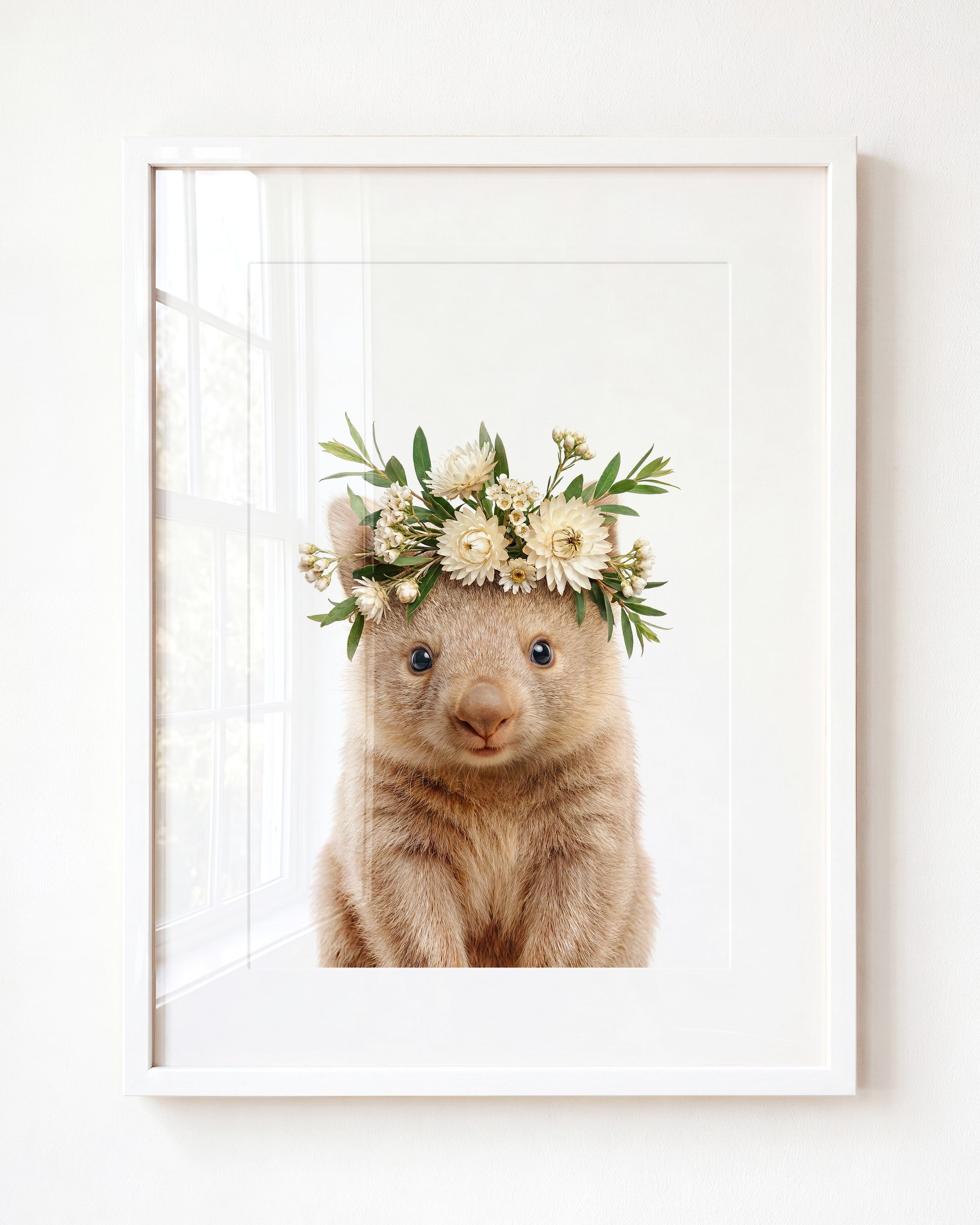 Baby Wombat