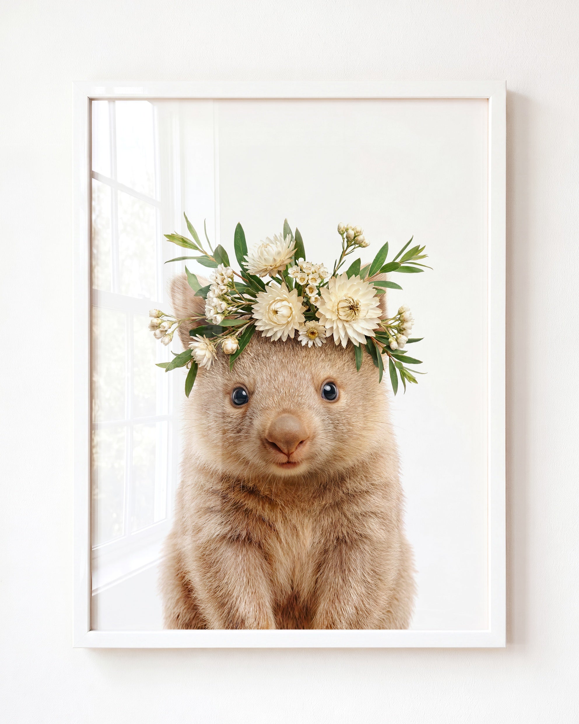 Baby Wombat