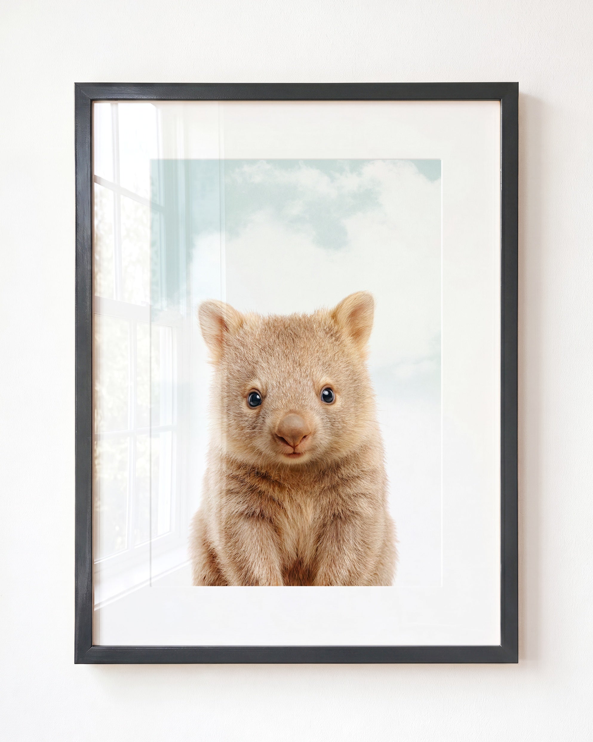Baby Wombat