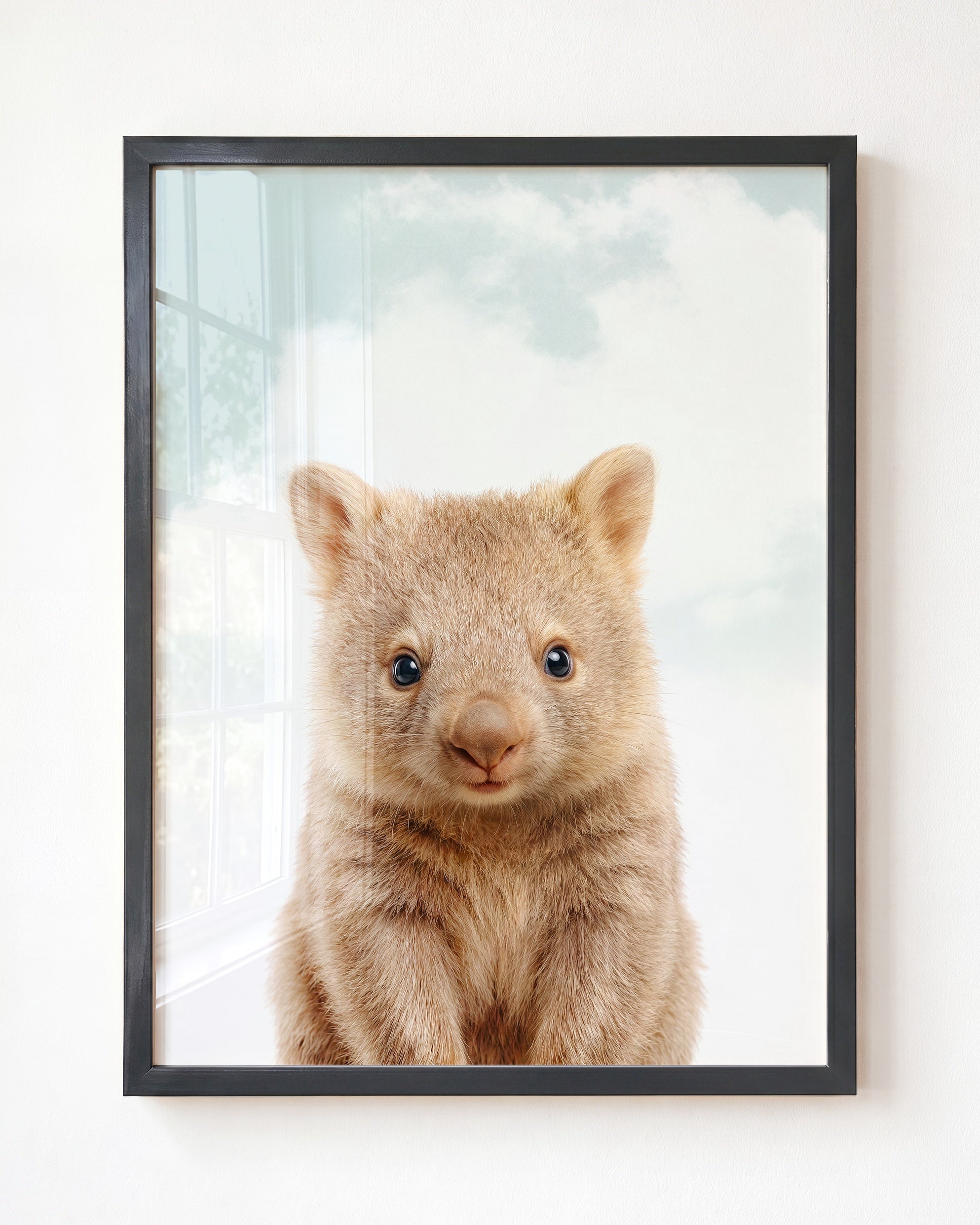 Baby Wombat