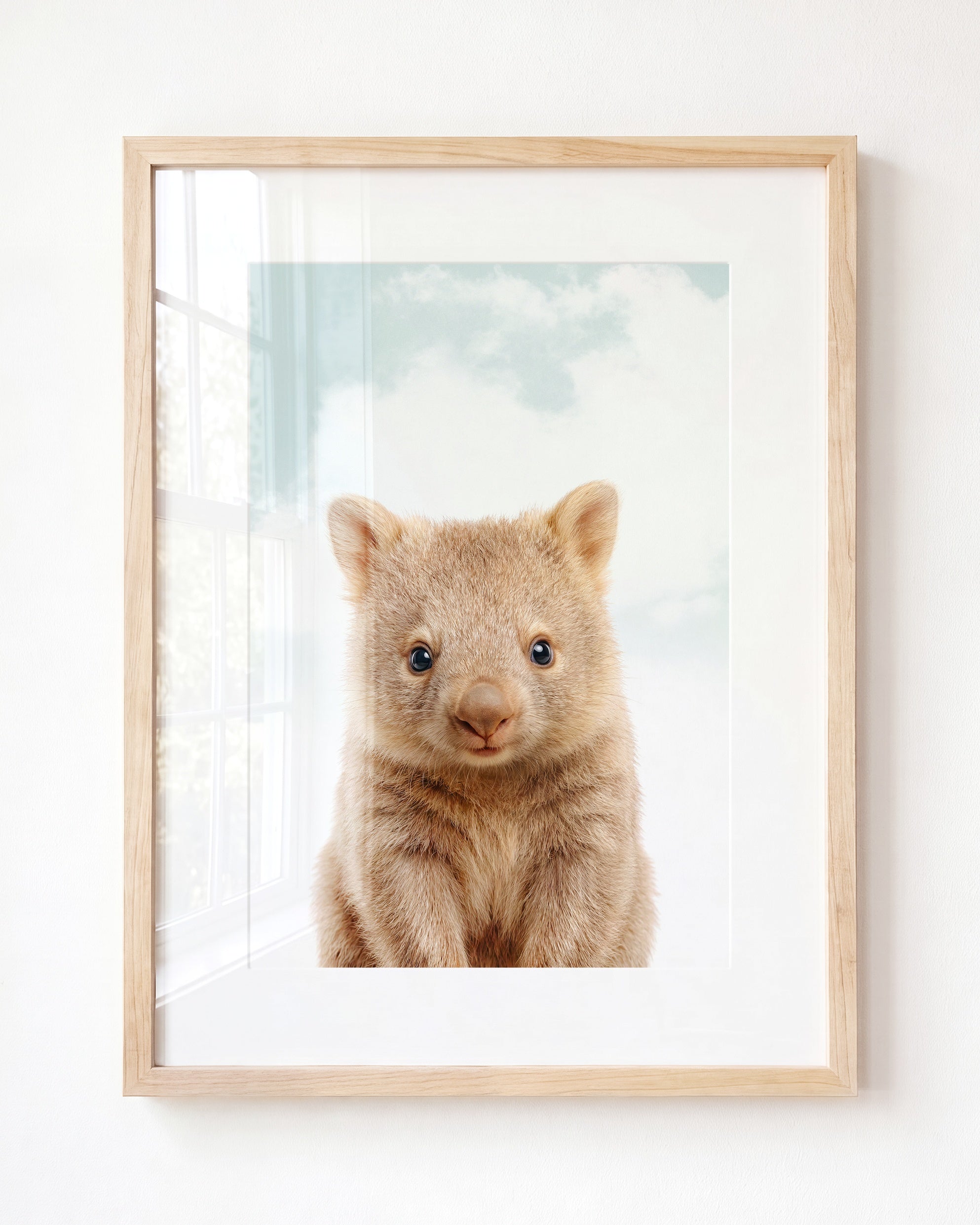 Baby Wombat