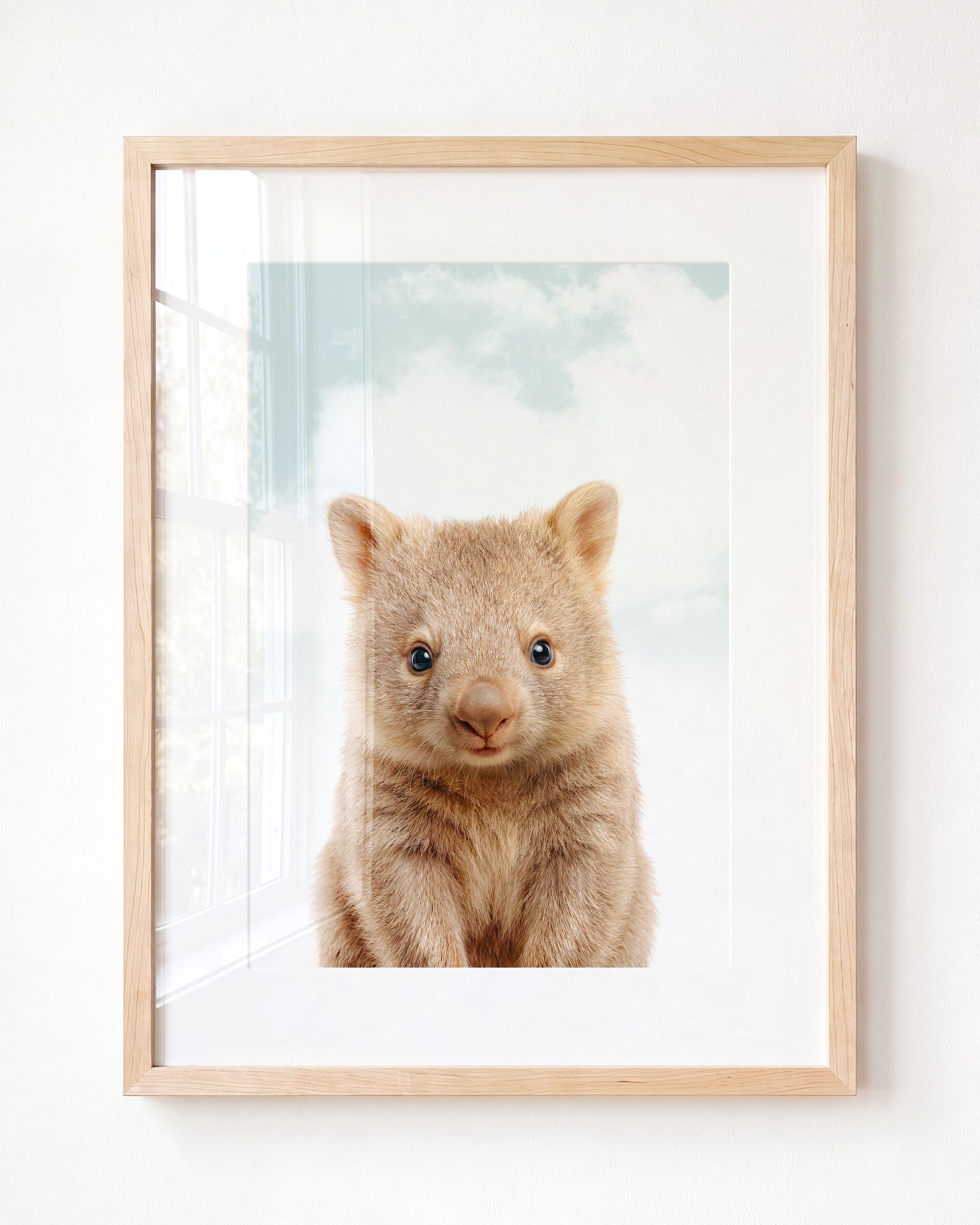 Baby Wombat