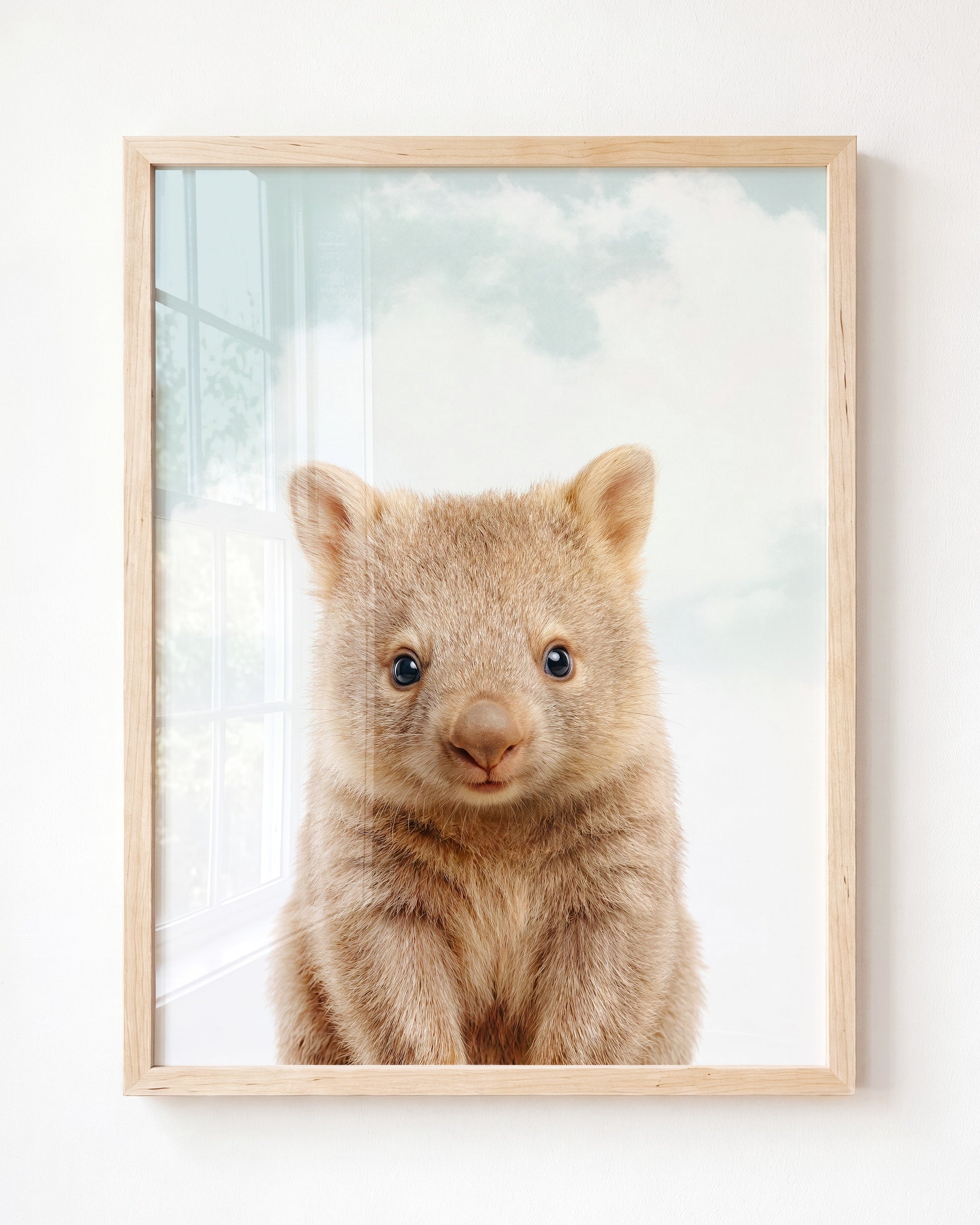 Baby Wombat