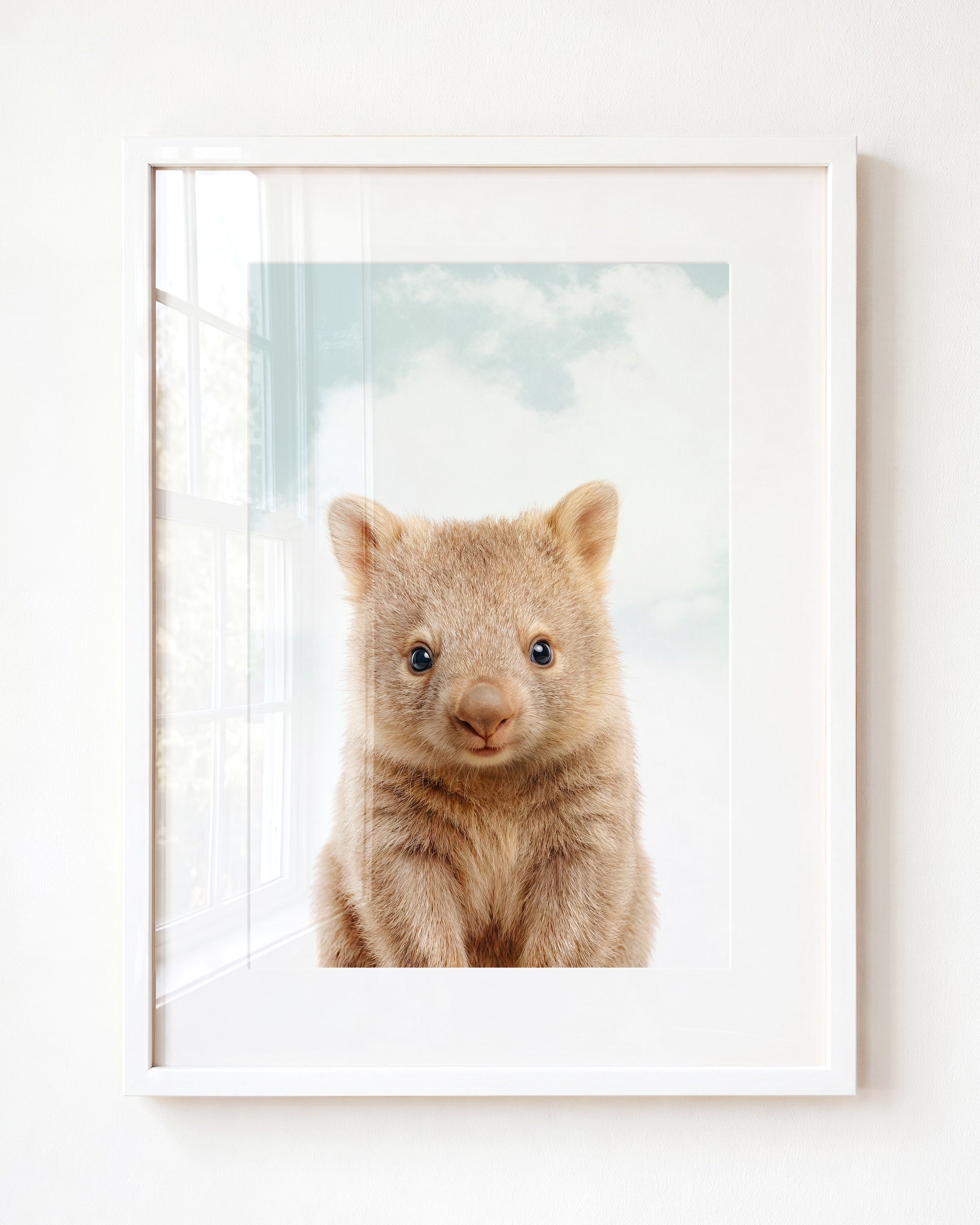 Baby Wombat