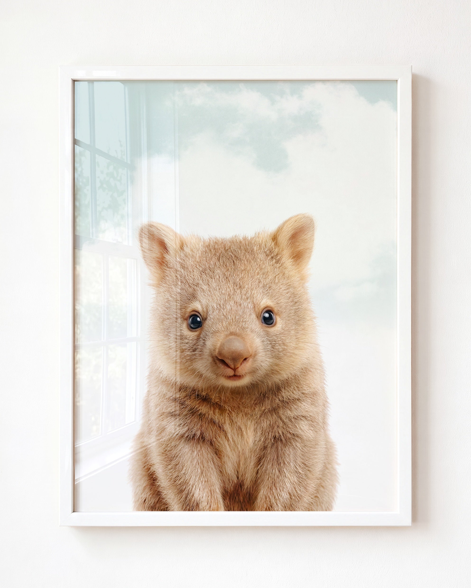 Baby Wombat