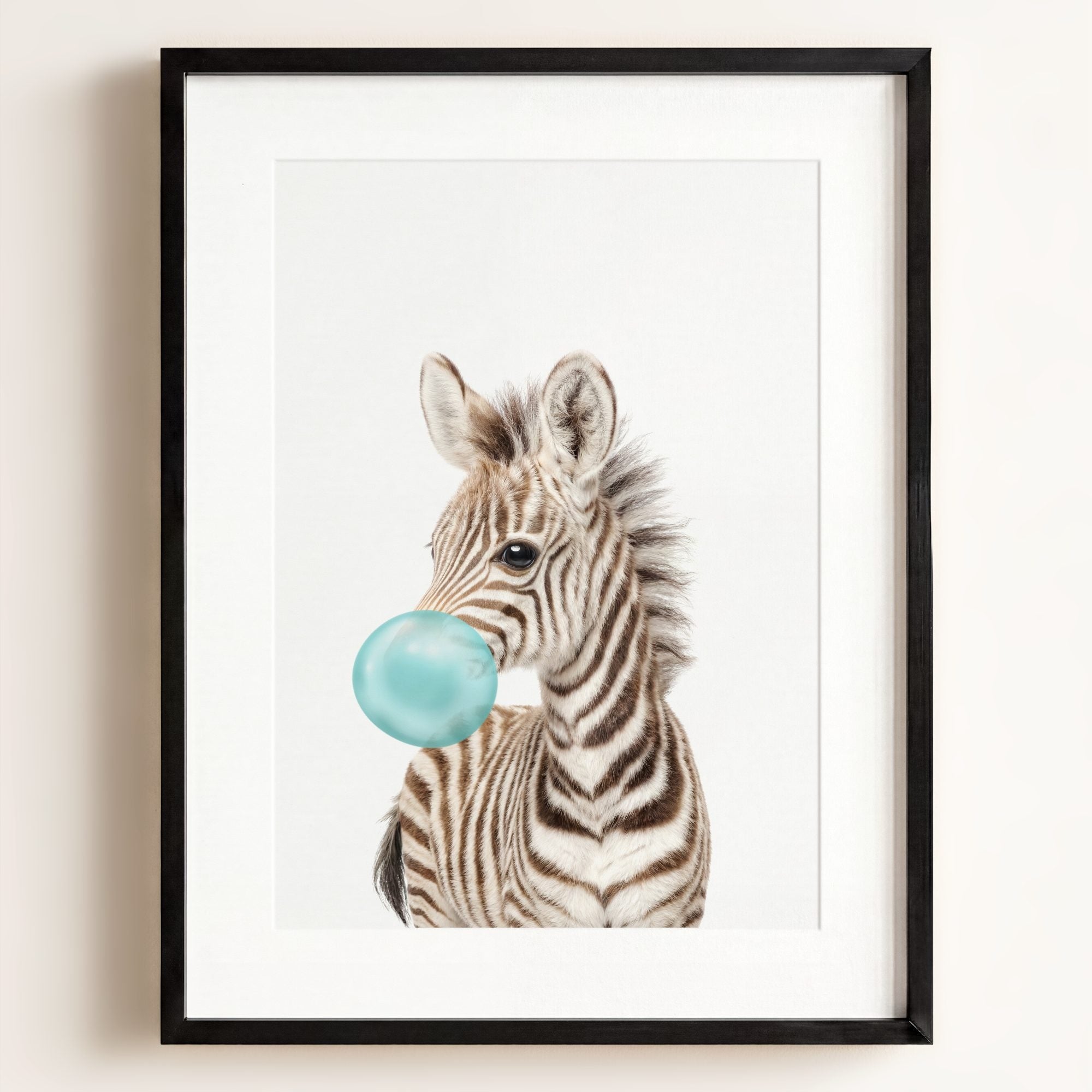 Baby Zebra