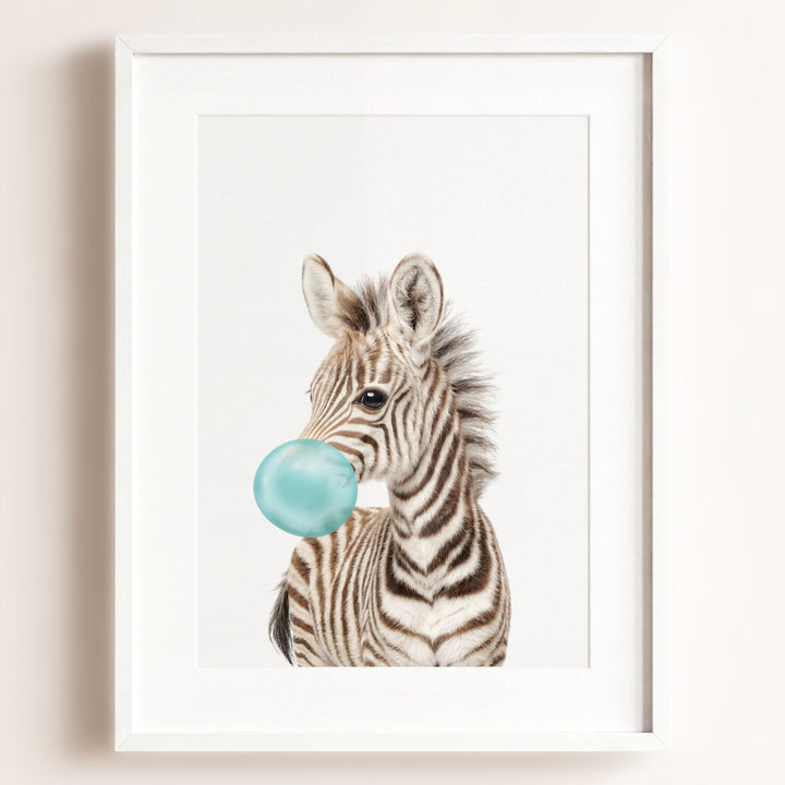 Baby Zebra