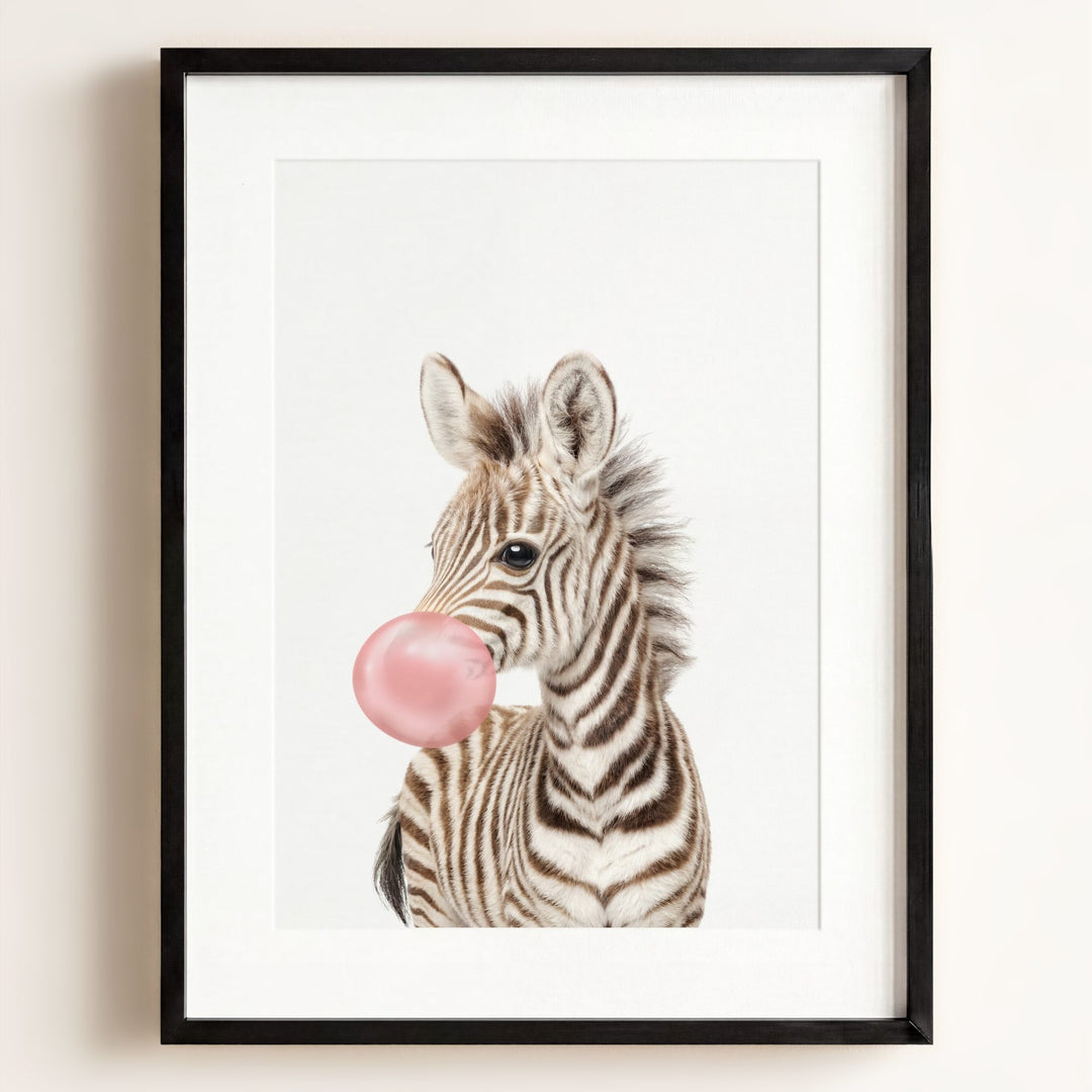 Baby Zebra