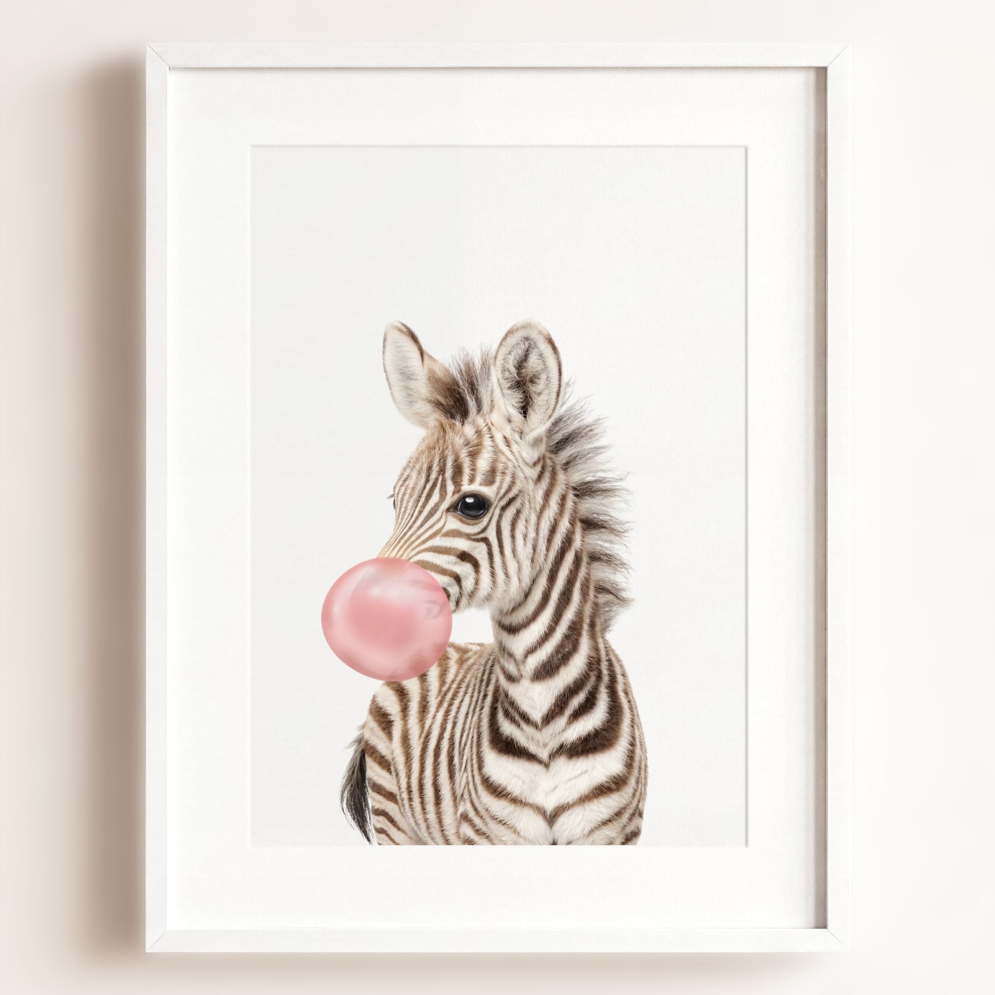 Baby Zebra
