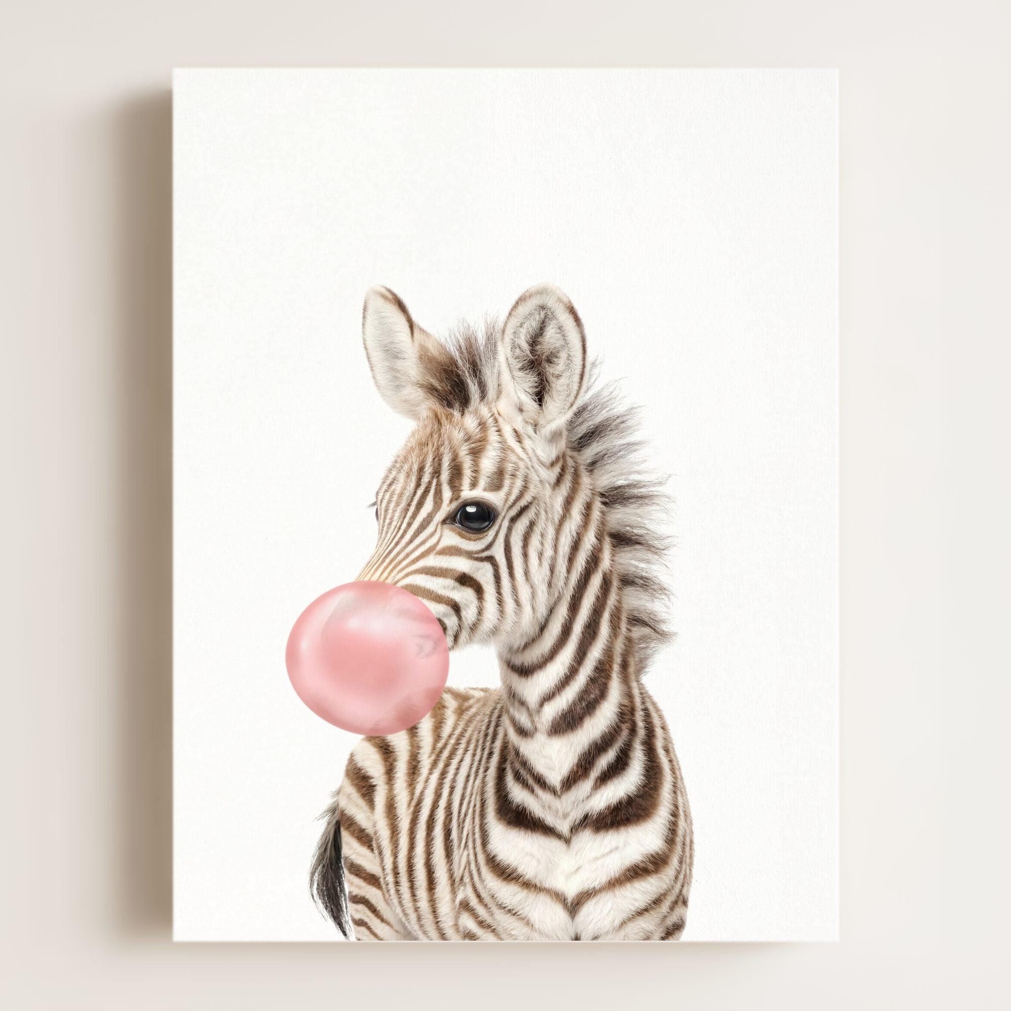 Baby Zebra