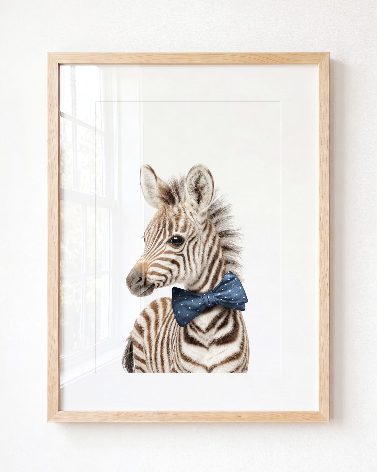 Baby Zebra