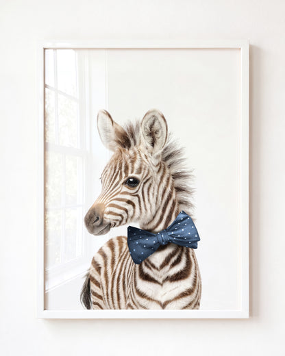 Baby Zebra