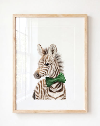 Baby Zebra