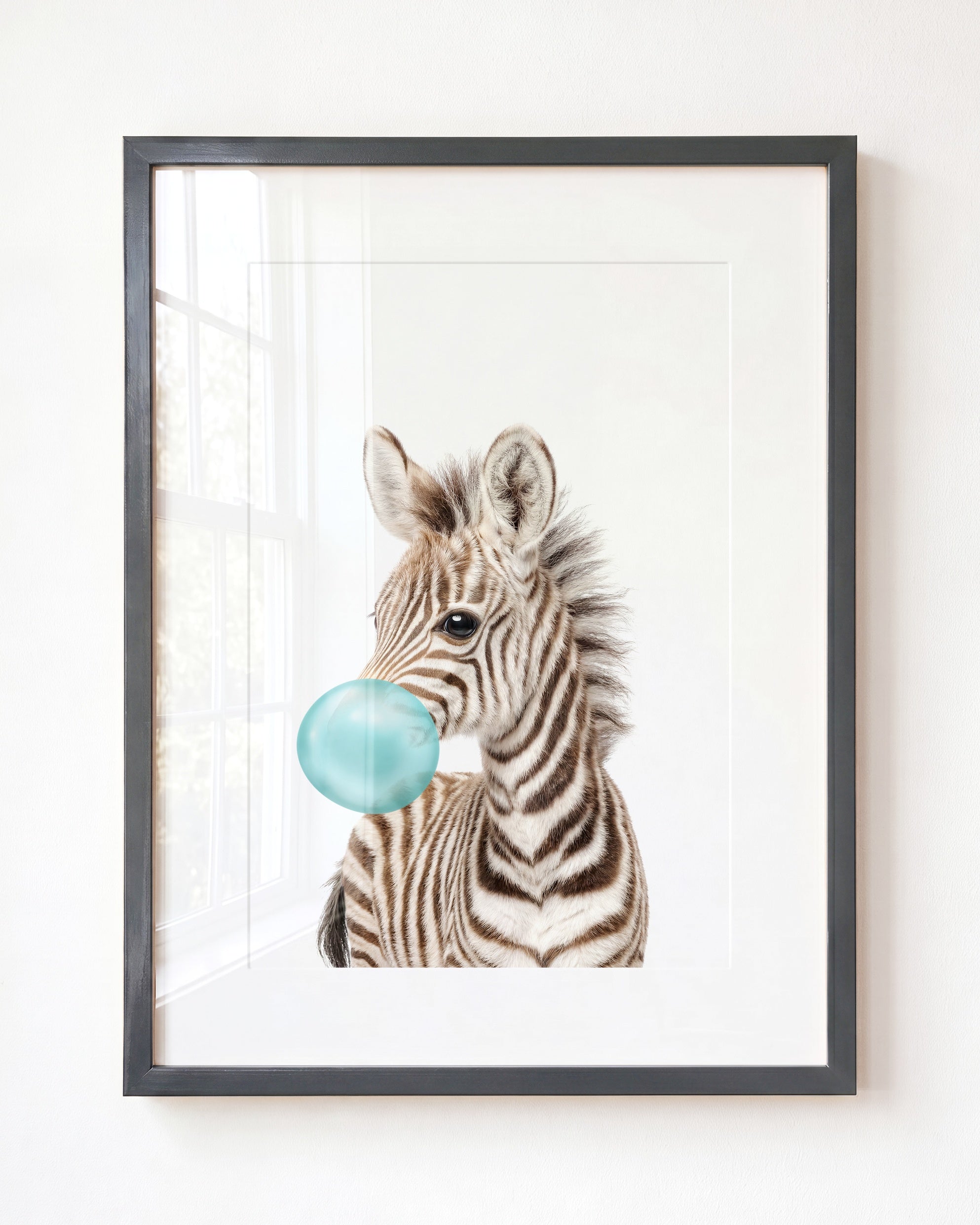 Baby Zebra