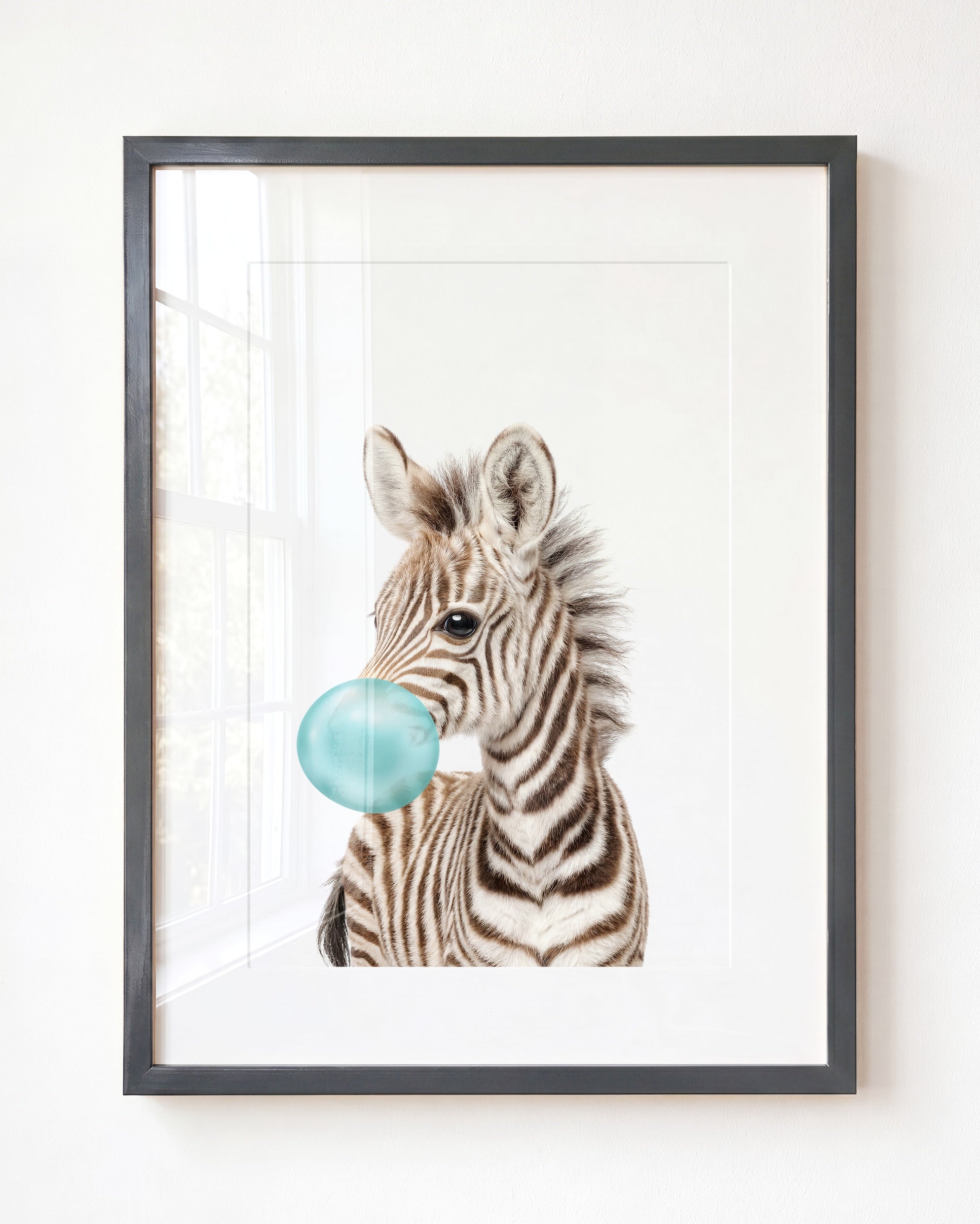 Baby Zebra