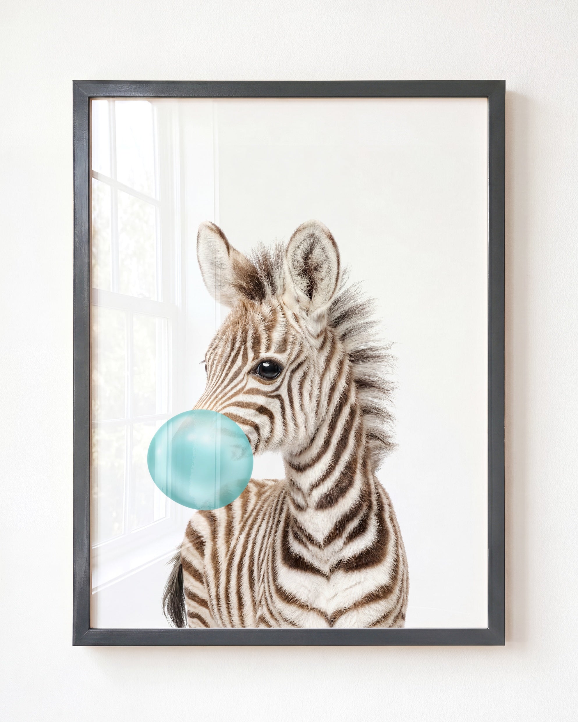 Baby Zebra