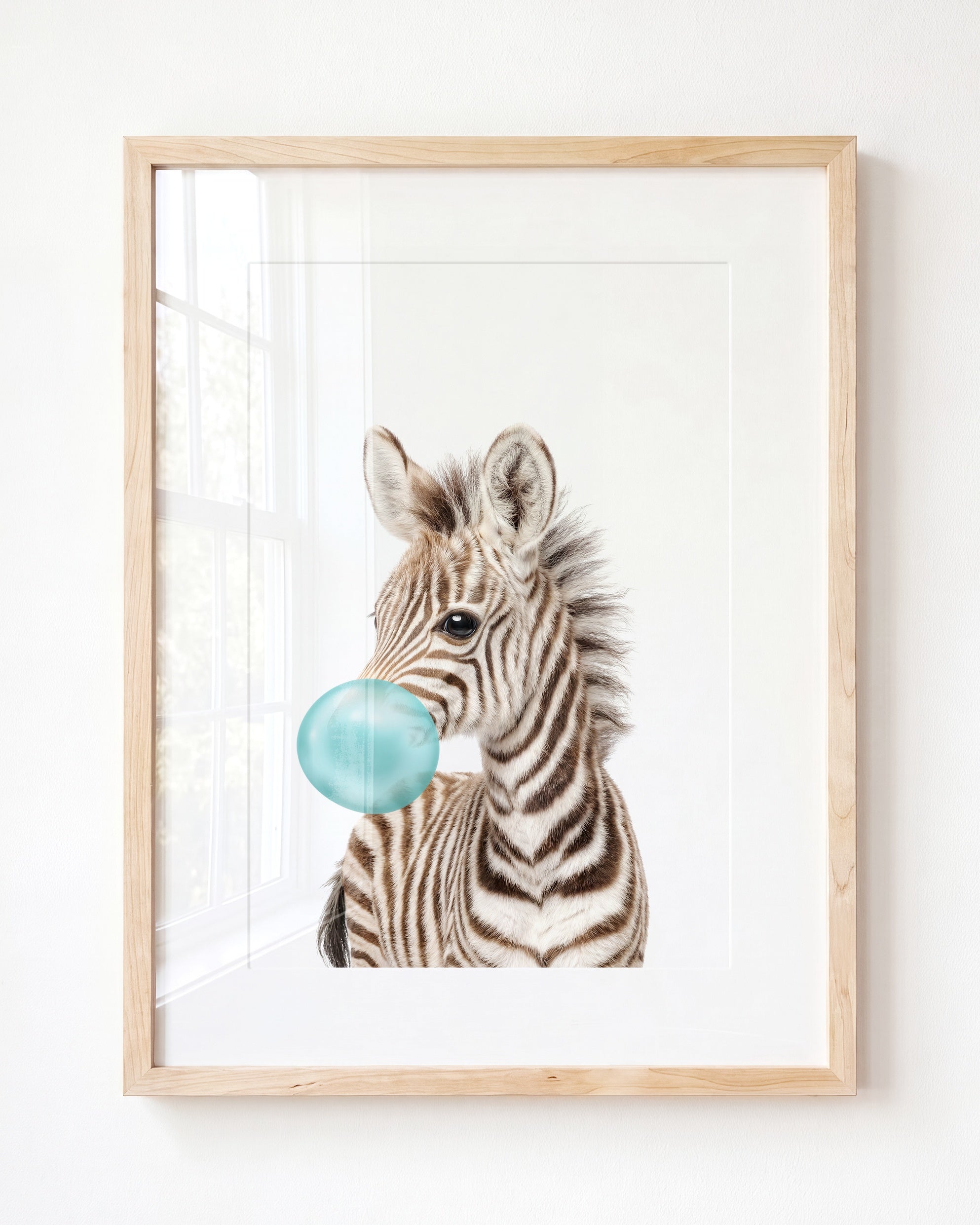 Baby Zebra