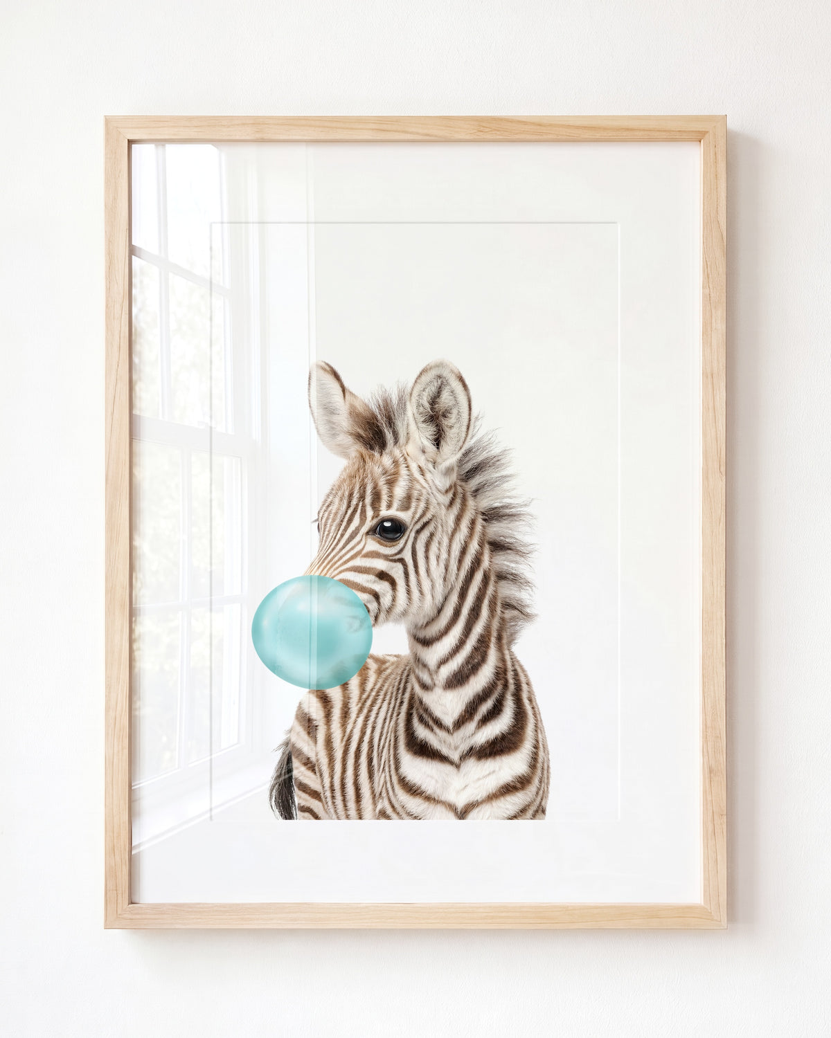 Baby Zebra