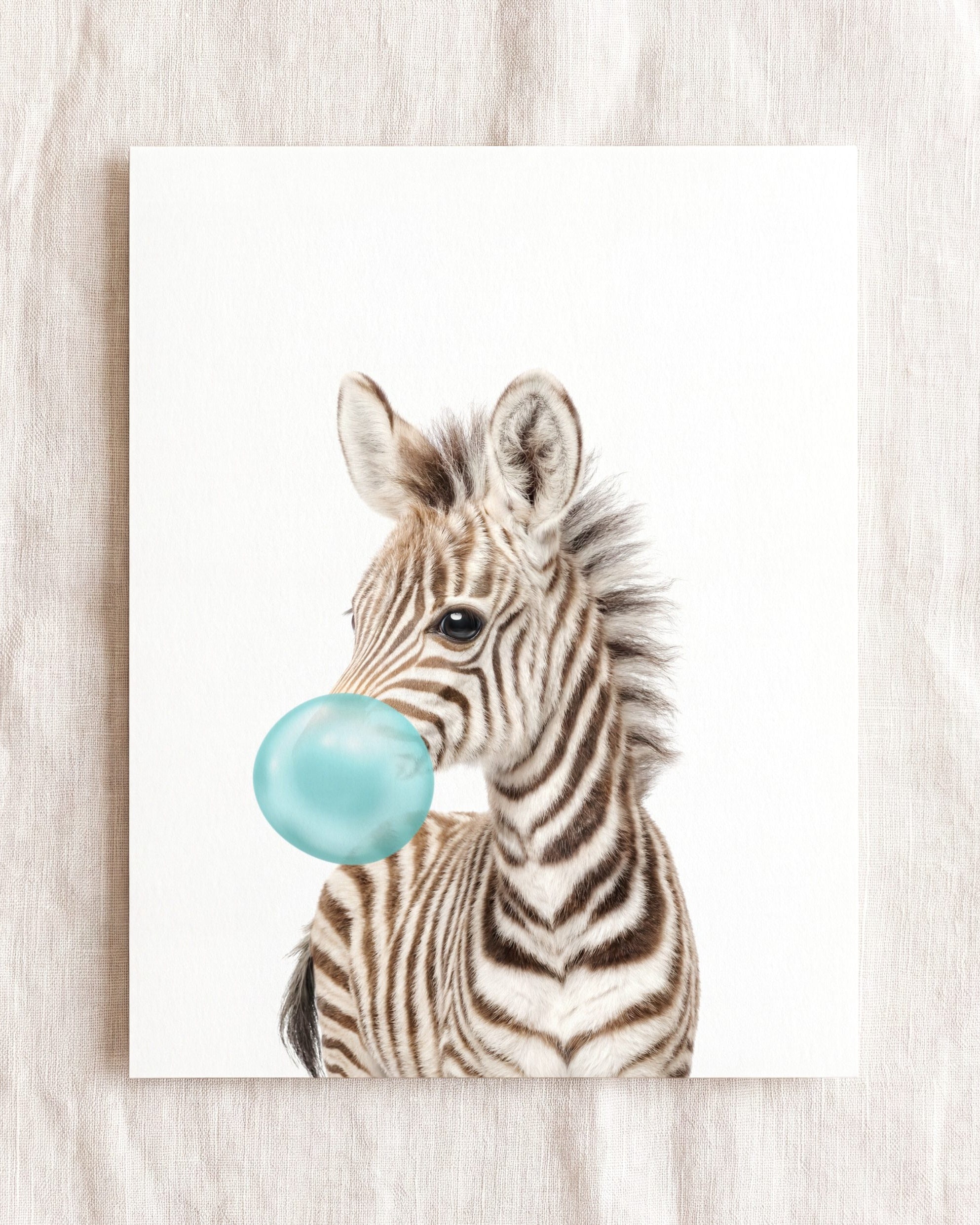 Baby Zebra