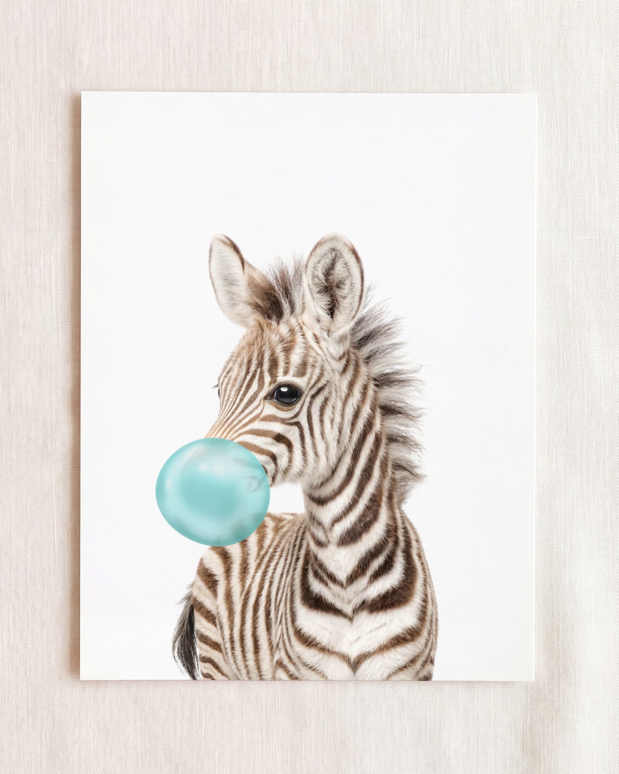 Baby Zebra