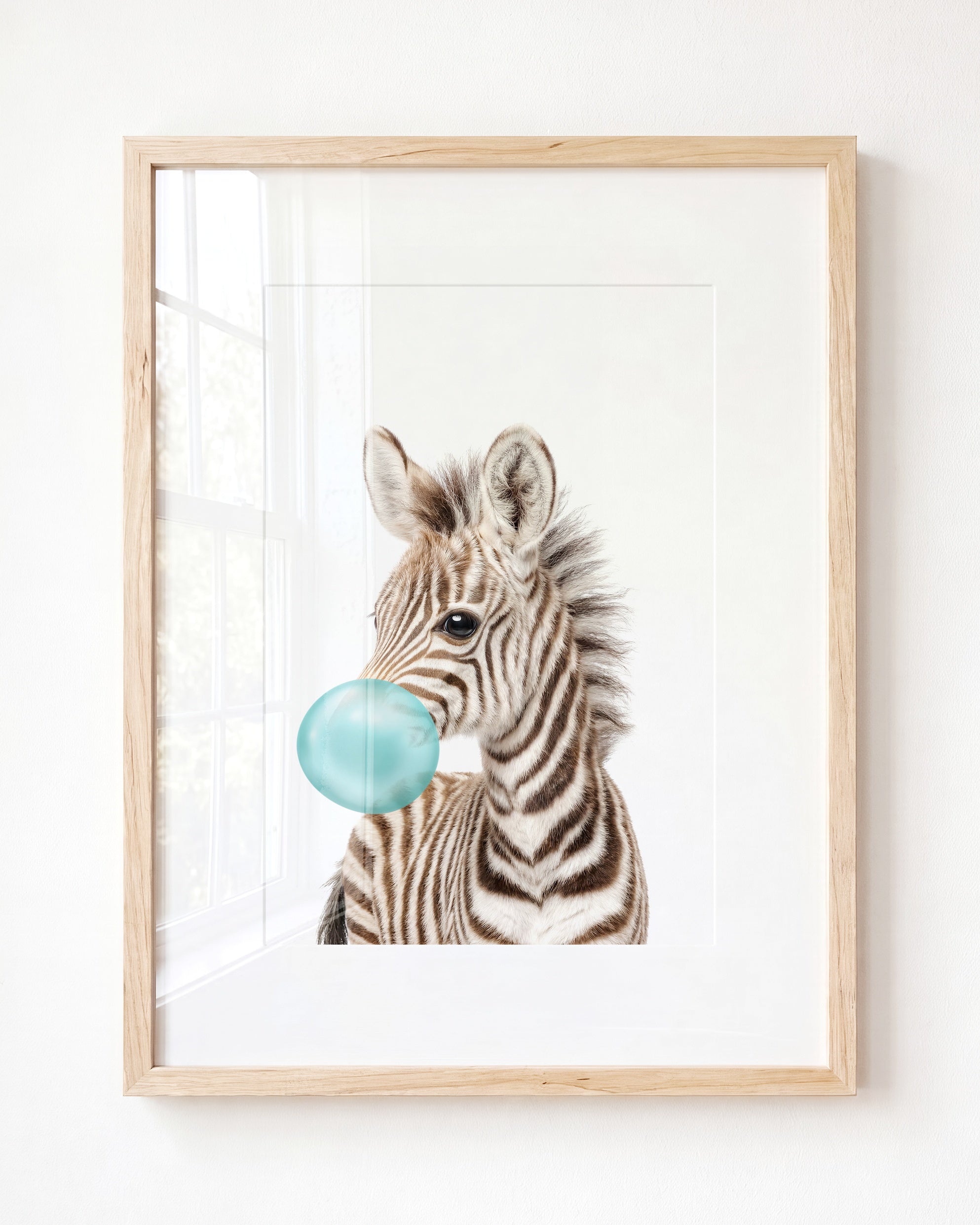 Baby Zebra