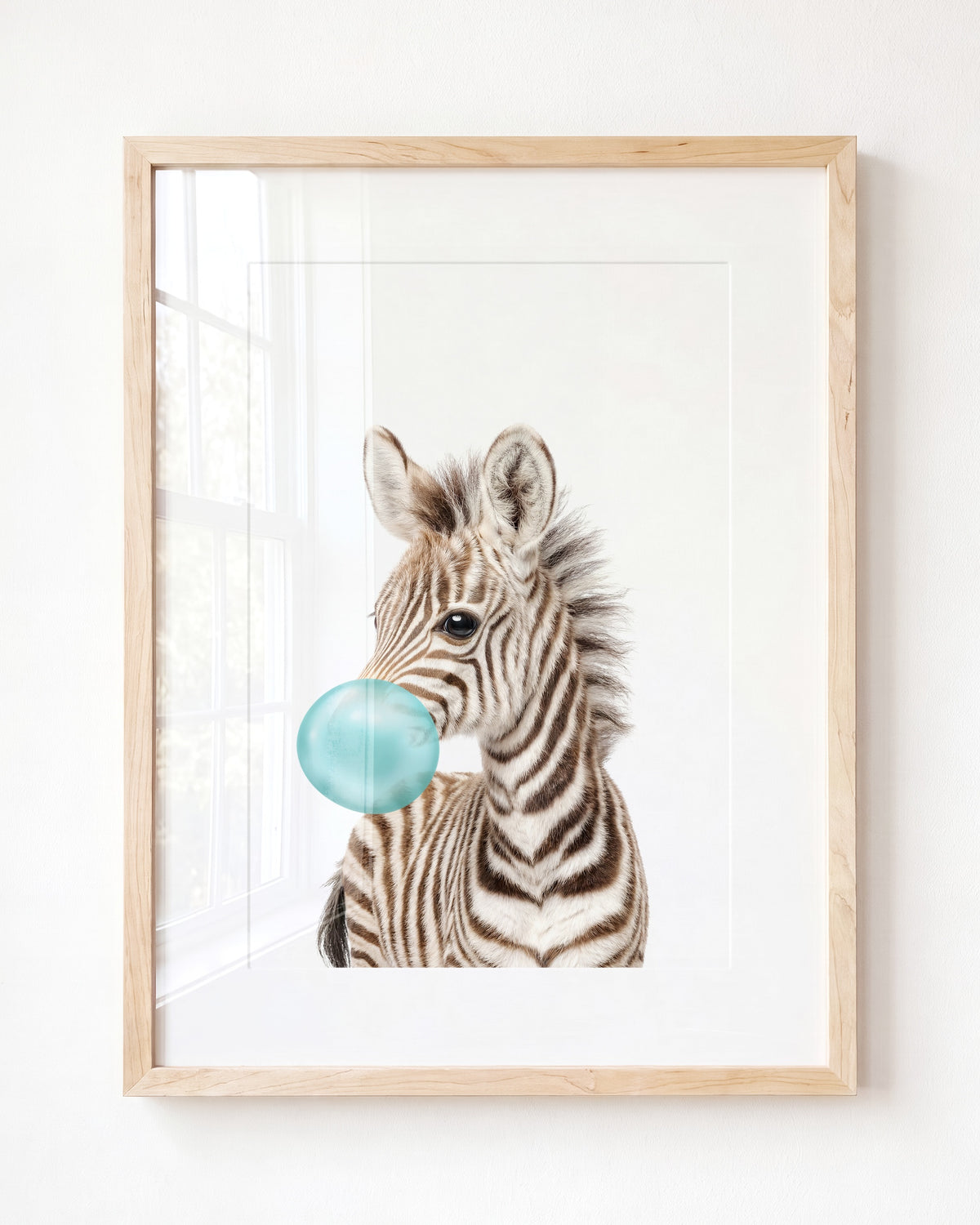 Baby Zebra