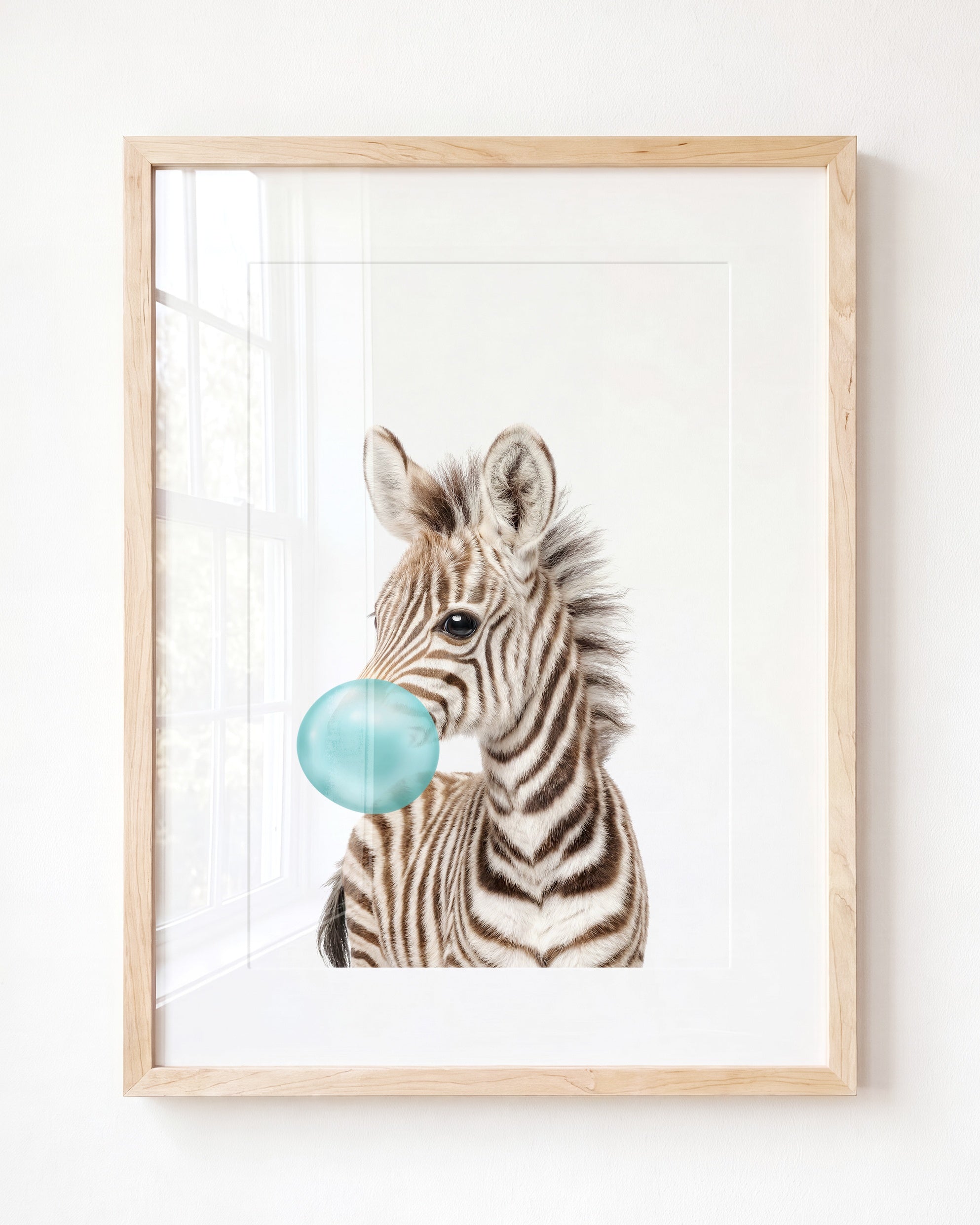 Baby Zebra