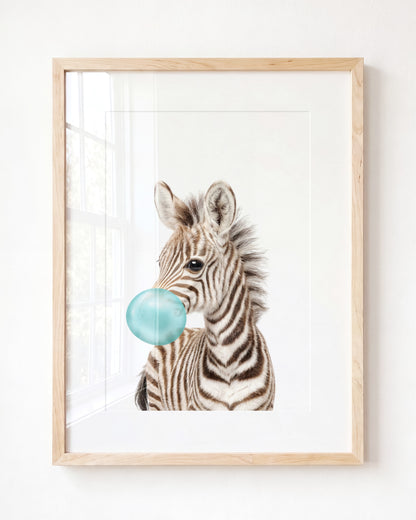 Baby Zebra