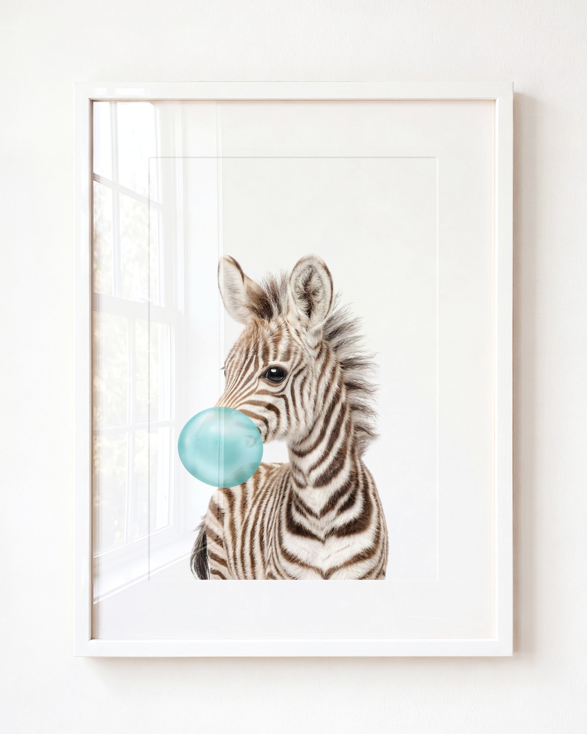 Baby Zebra