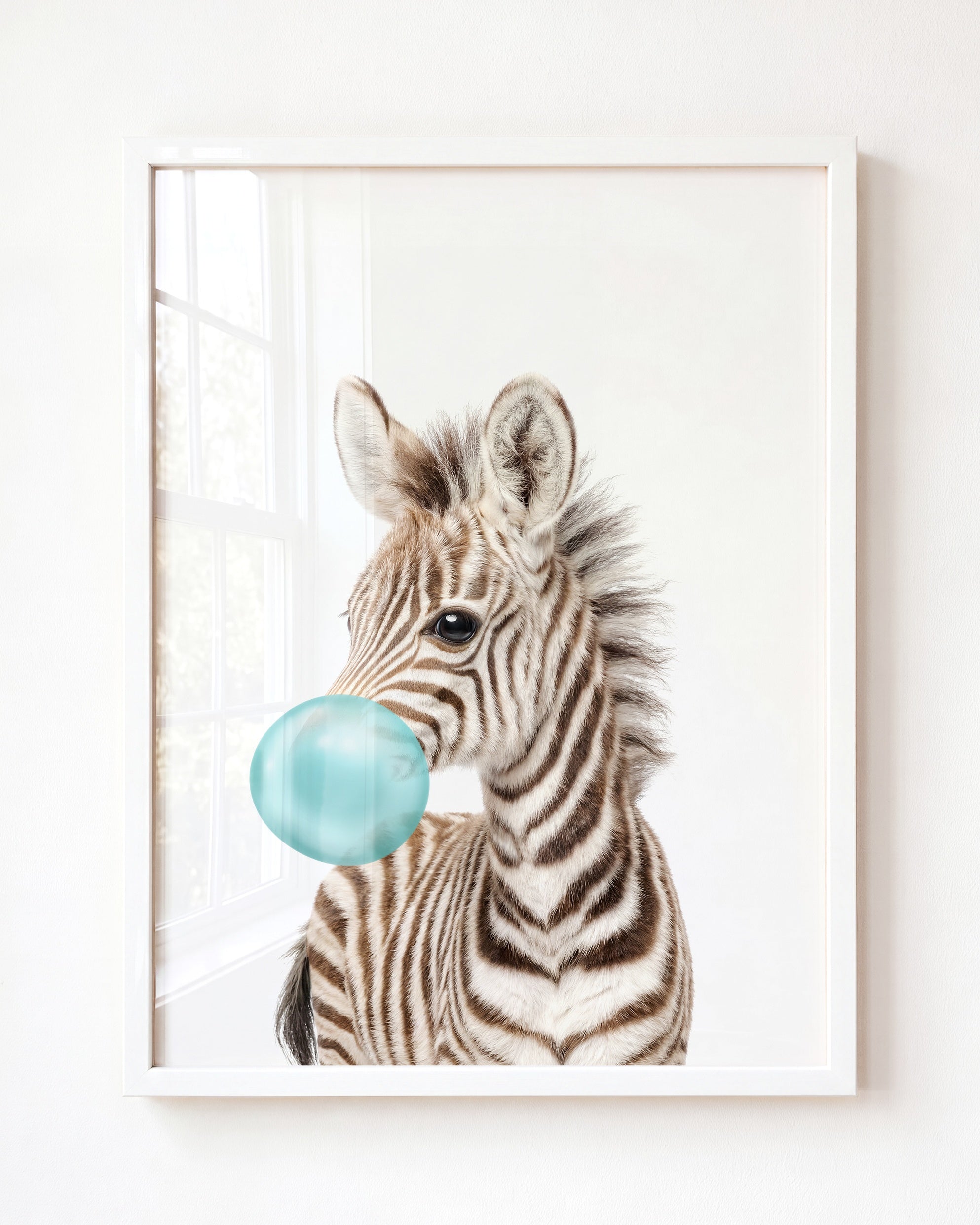 Baby Zebra