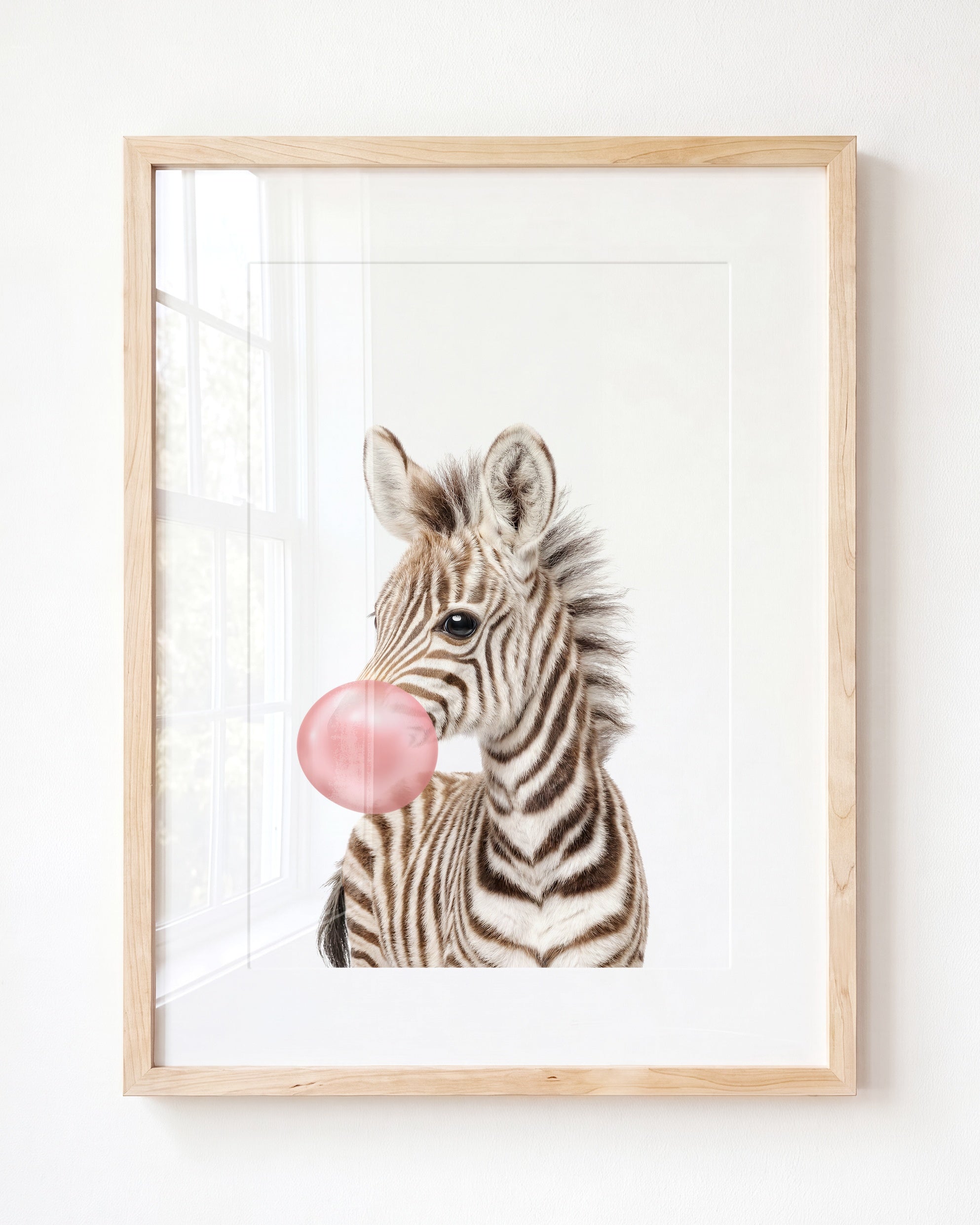 Baby Zebra