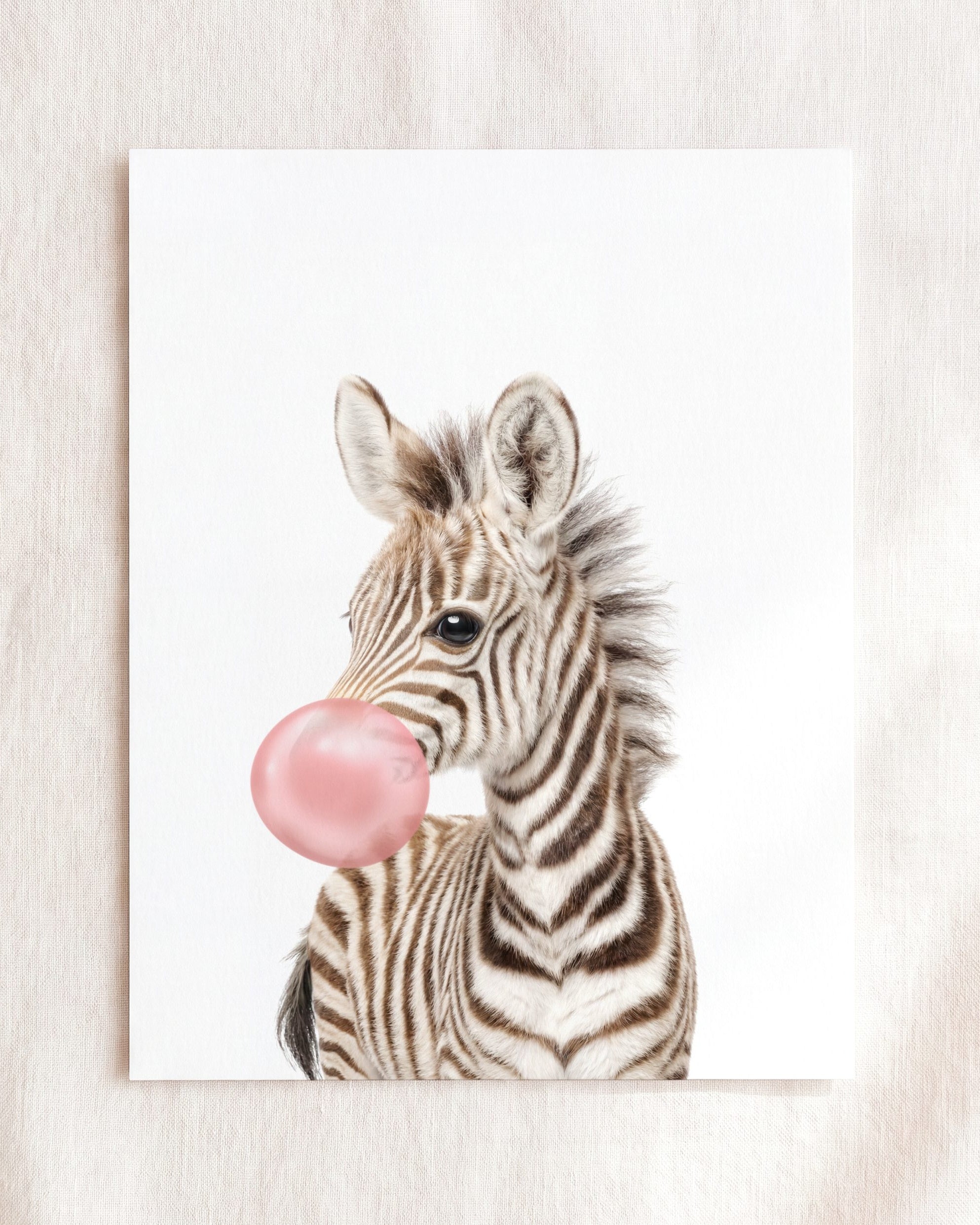 Baby Zebra