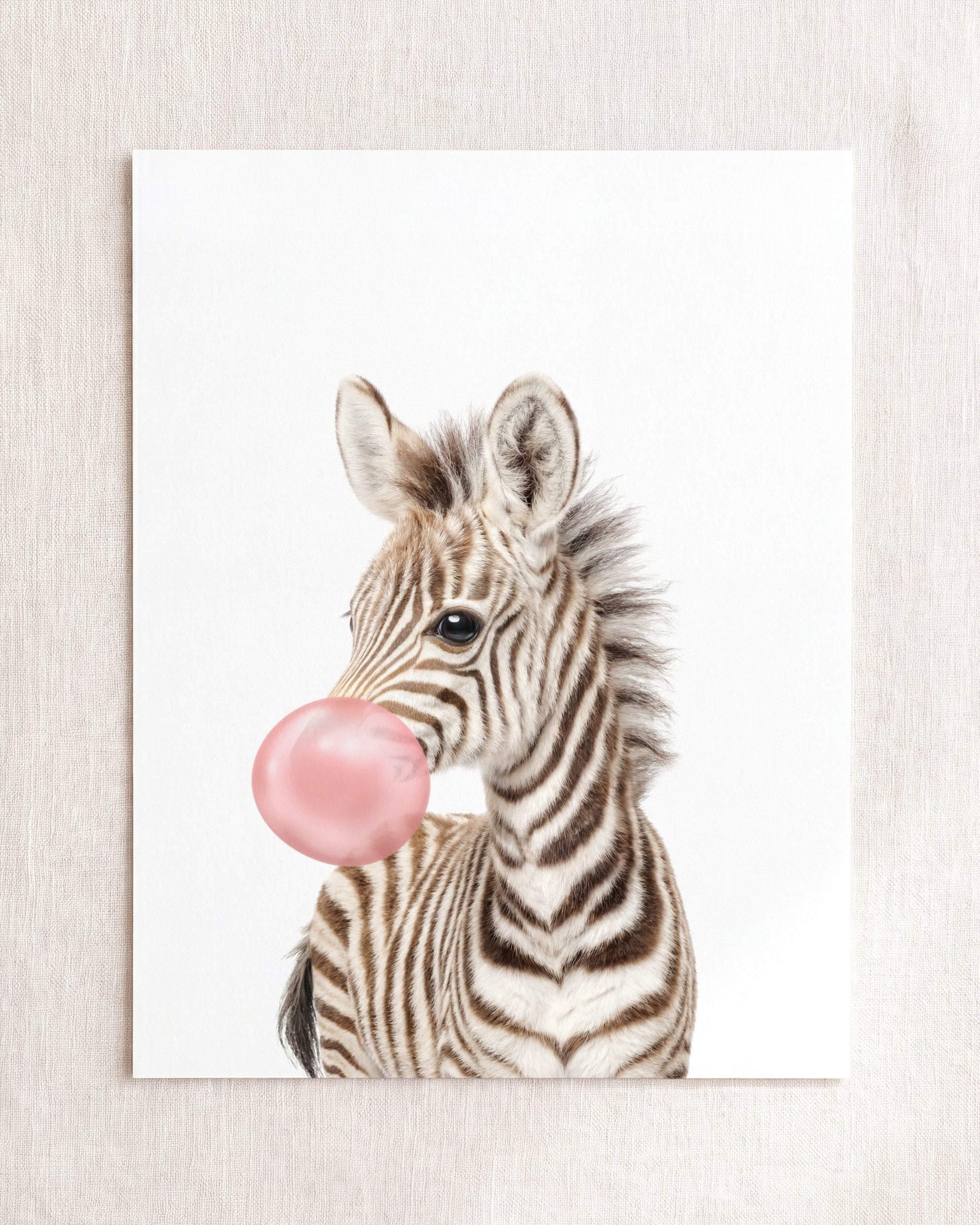 Baby Zebra