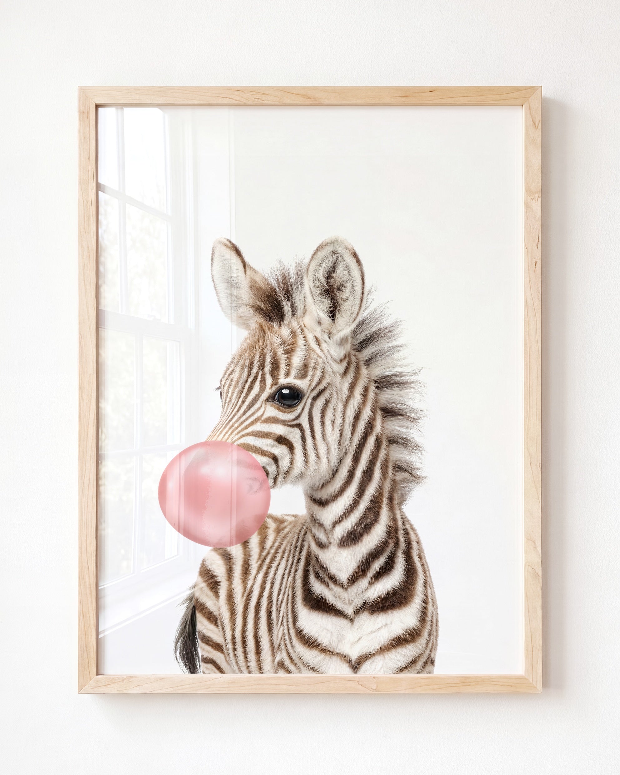 Baby Zebra