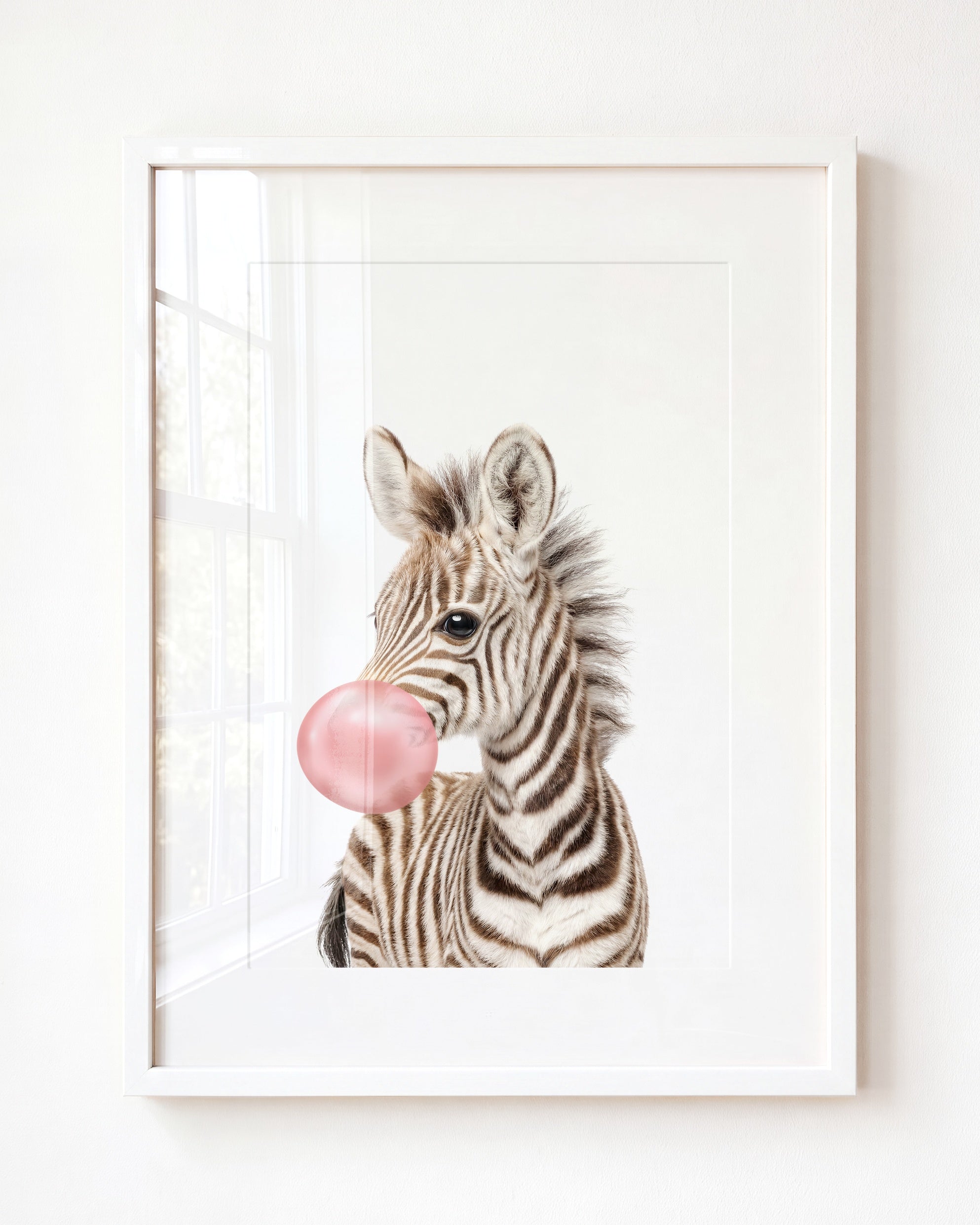 Baby Zebra