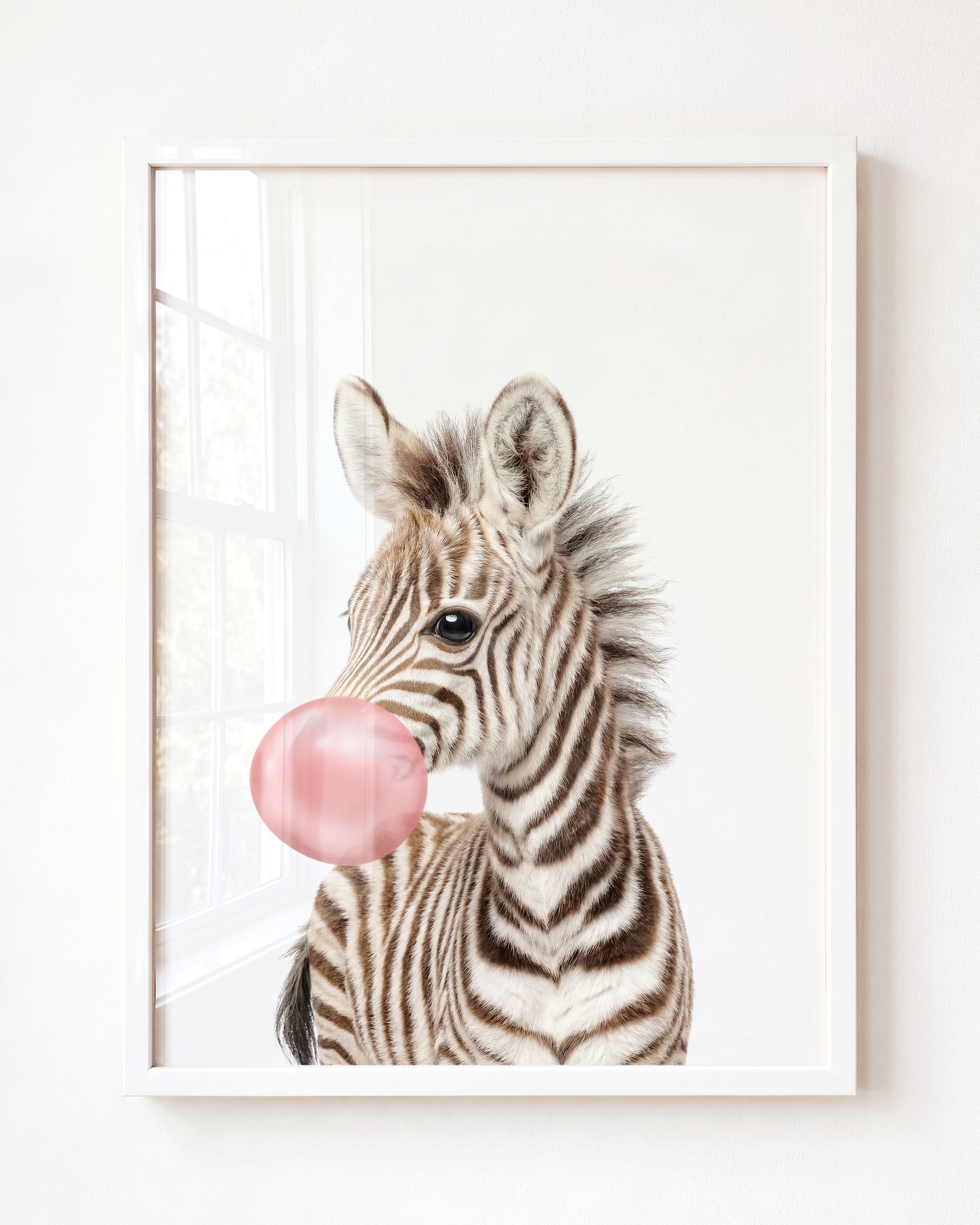 Baby Zebra
