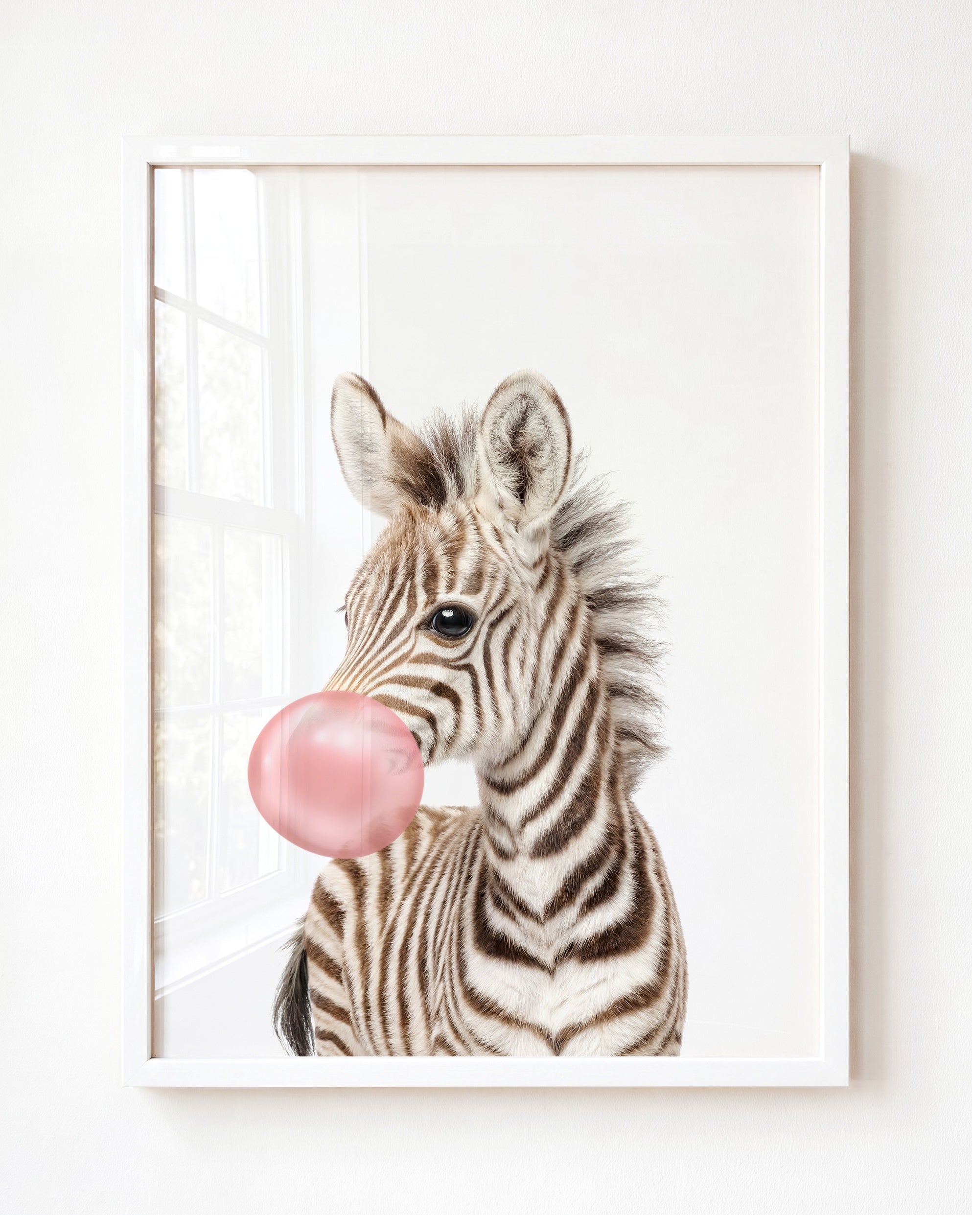 Baby Zebra