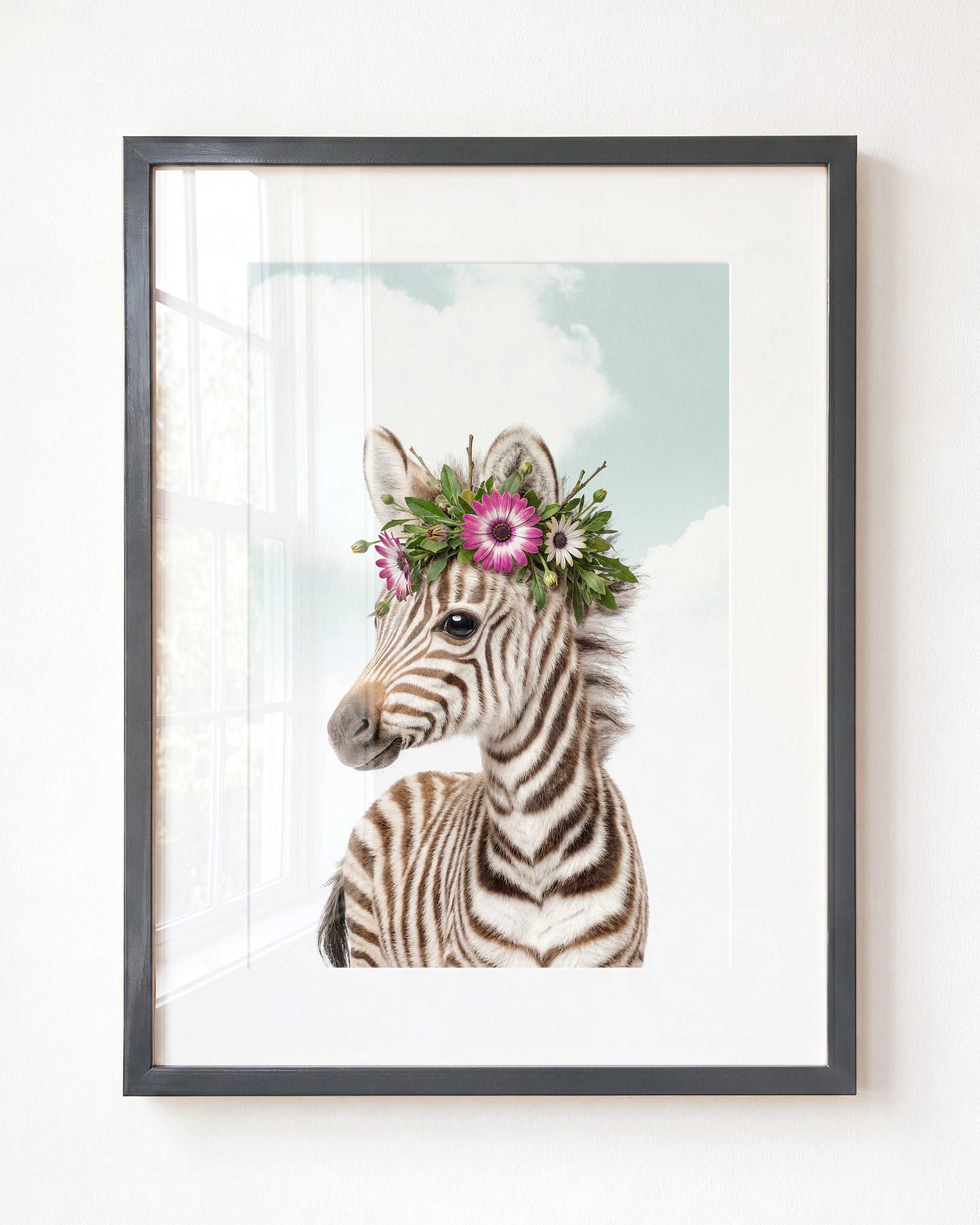 Baby Zebra