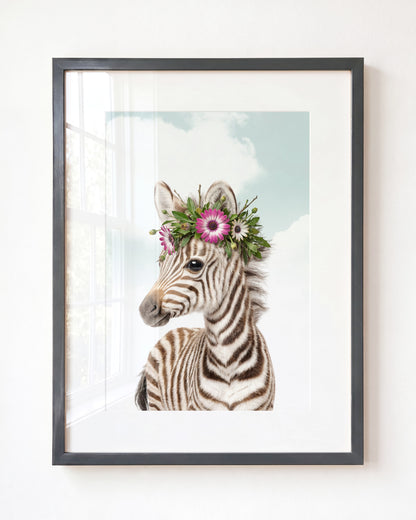 Baby Zebra